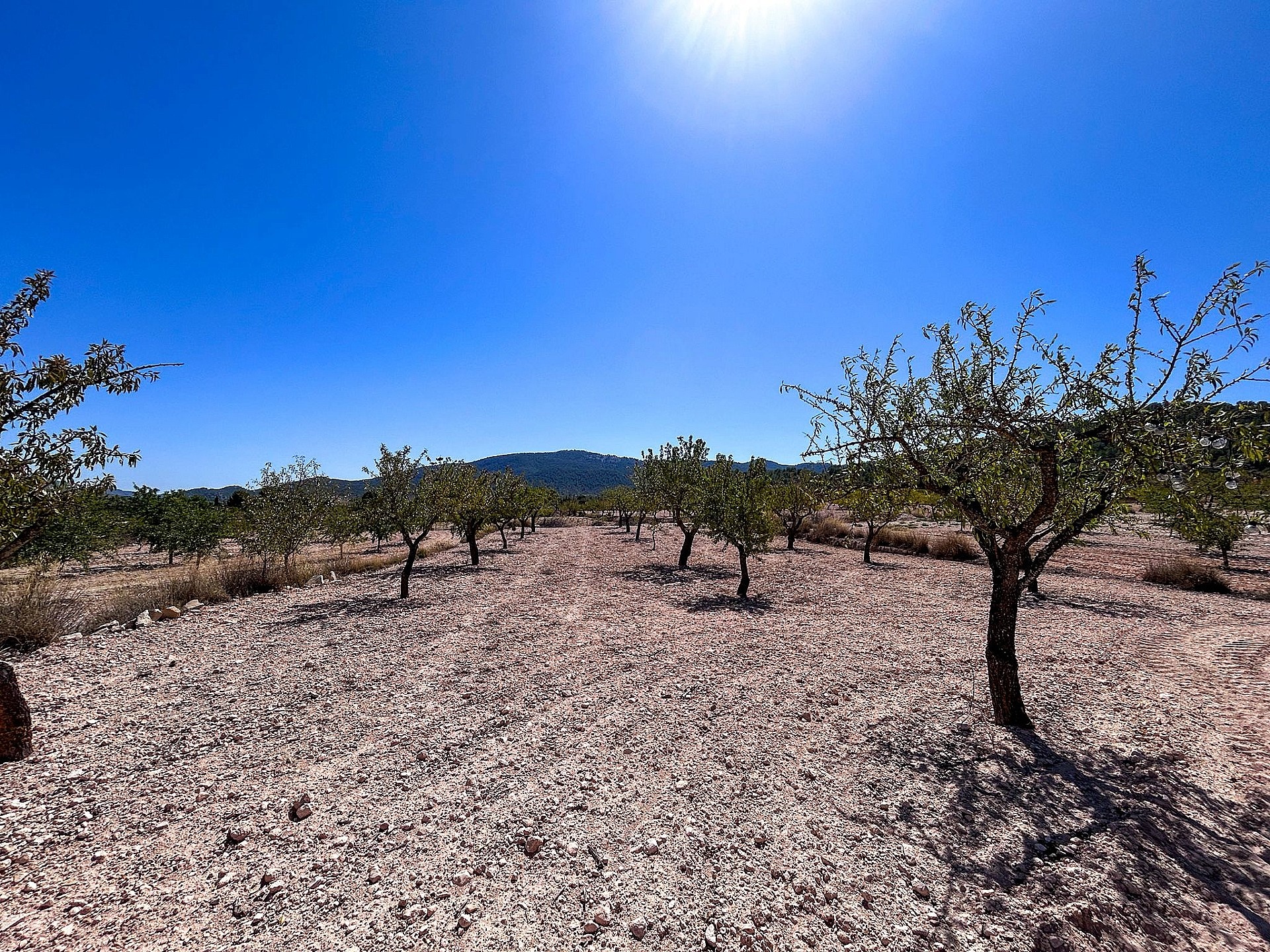 Resale - 3 Bedroom Country house in Monóvar -  - Alicante