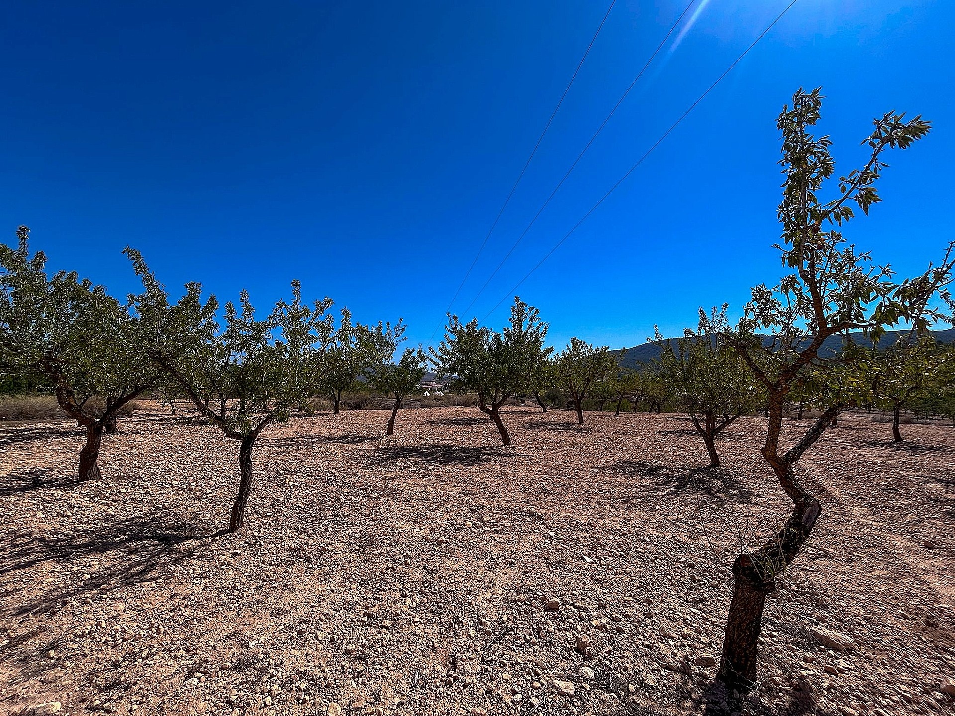 Resale - 3 Bedroom Country house in Monóvar -  - Alicante