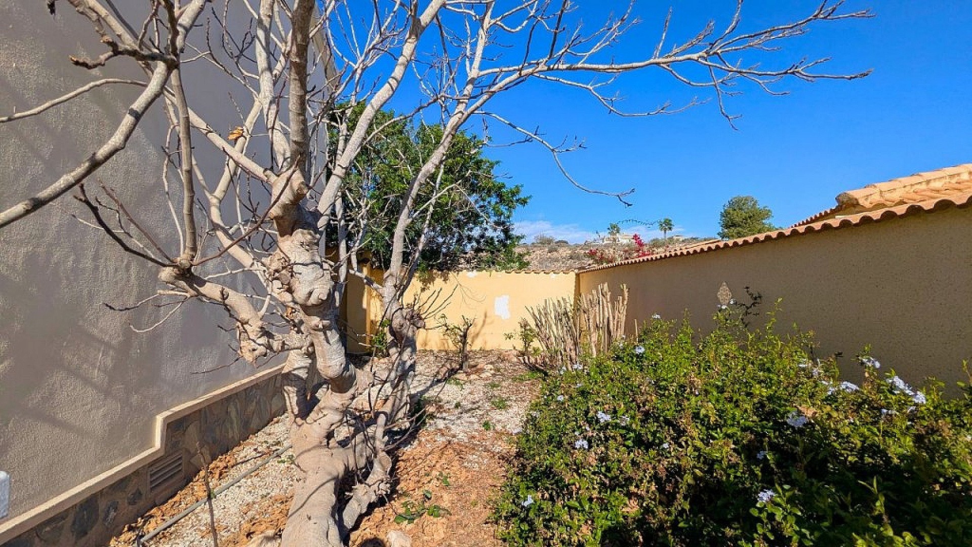 Resale - 3 Bedroom 2 Bathroom Villa in Ciudad Quesada -  - Alicante