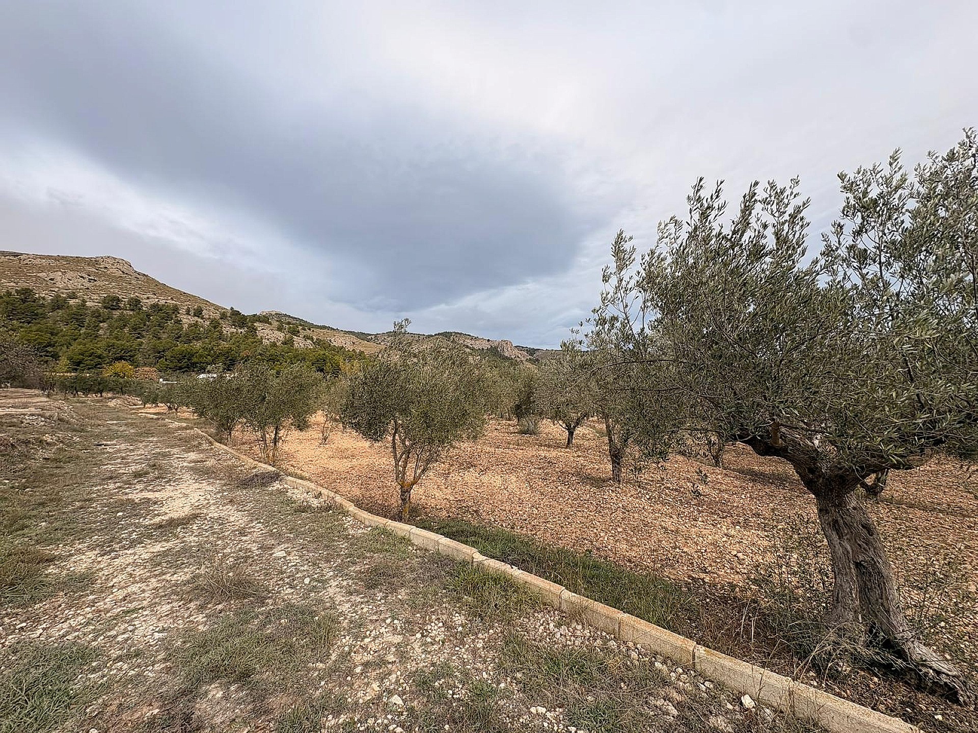 Resale - Land in Onil -  - Alicante