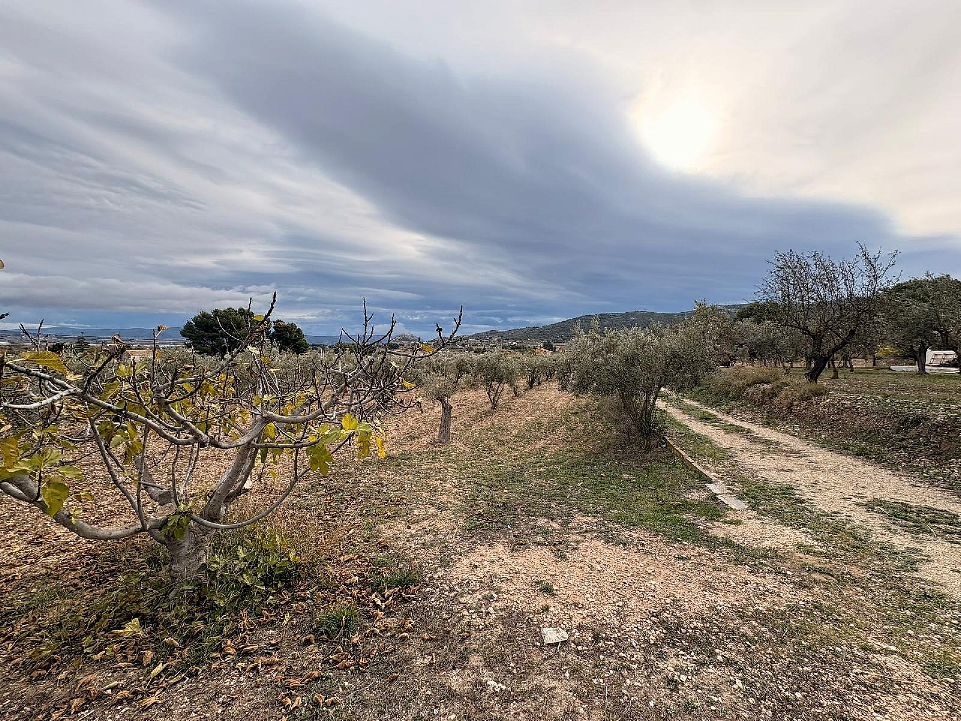 Resale - Land in Onil -  - Alicante