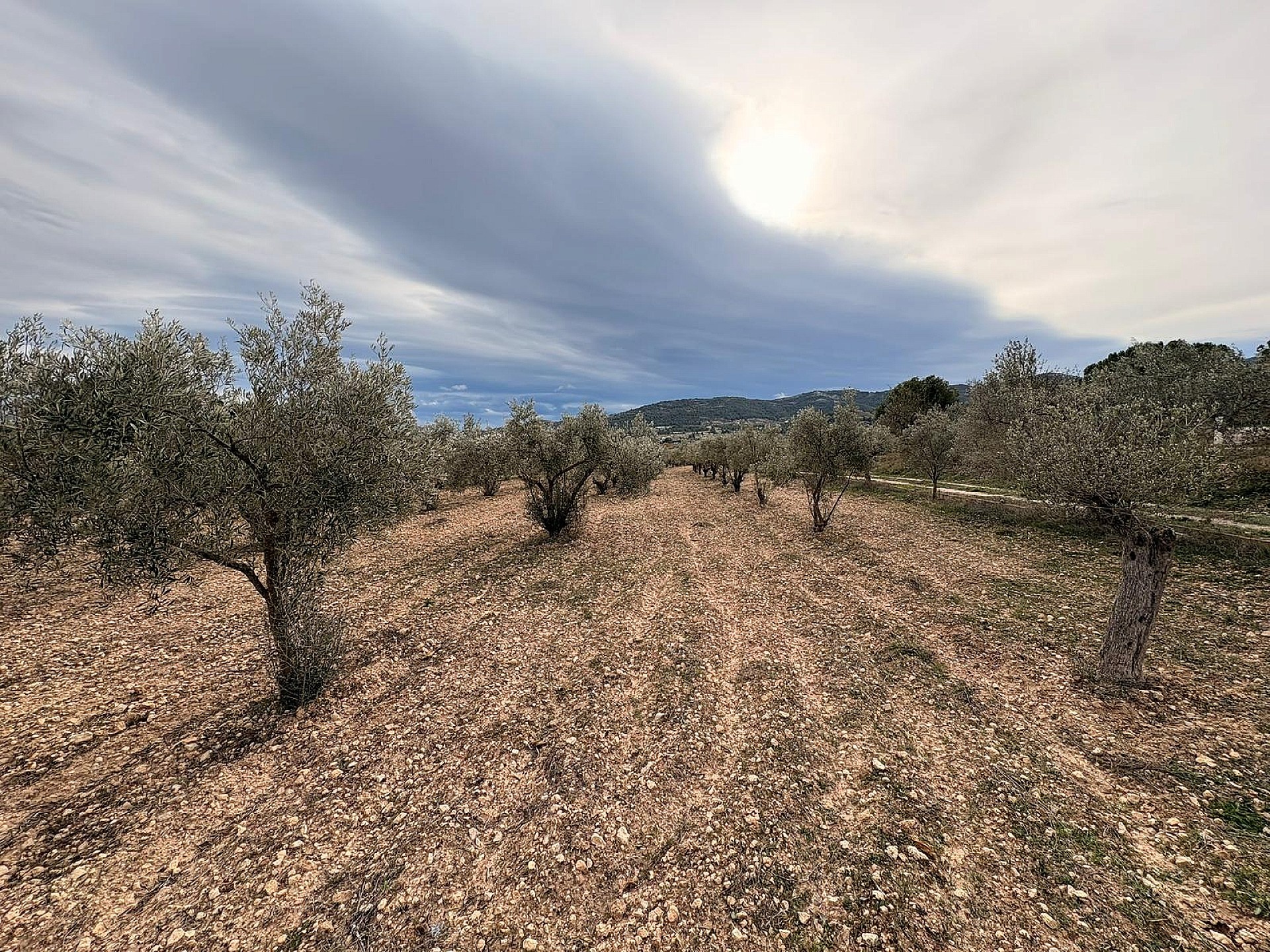 Resale - Land in Onil -  - Alicante
