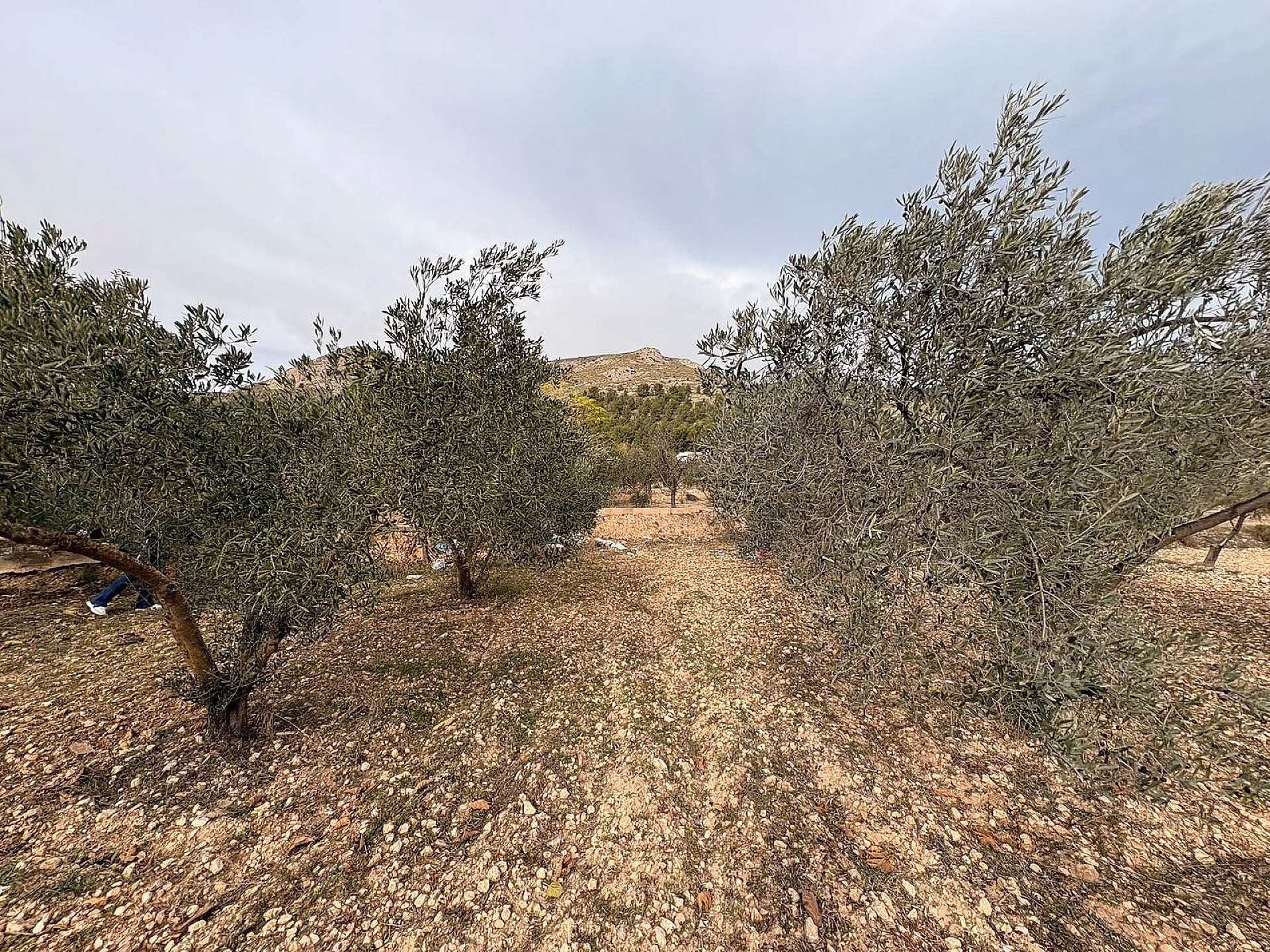 Resale - Land in Onil -  - Alicante