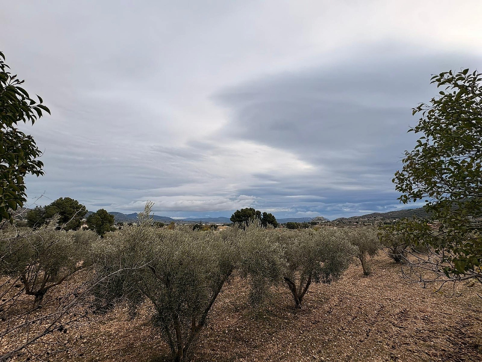 Resale - Land in Onil -  - Alicante
