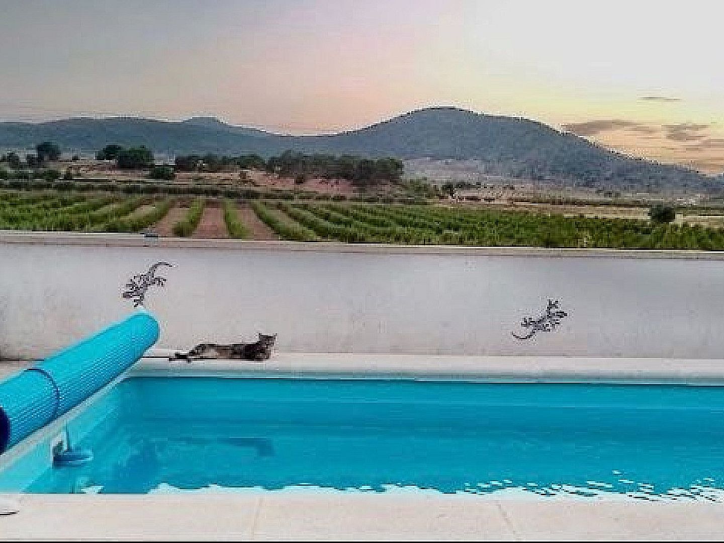5 Bedroom 2 Bathroom Semi-detached in Pinoso