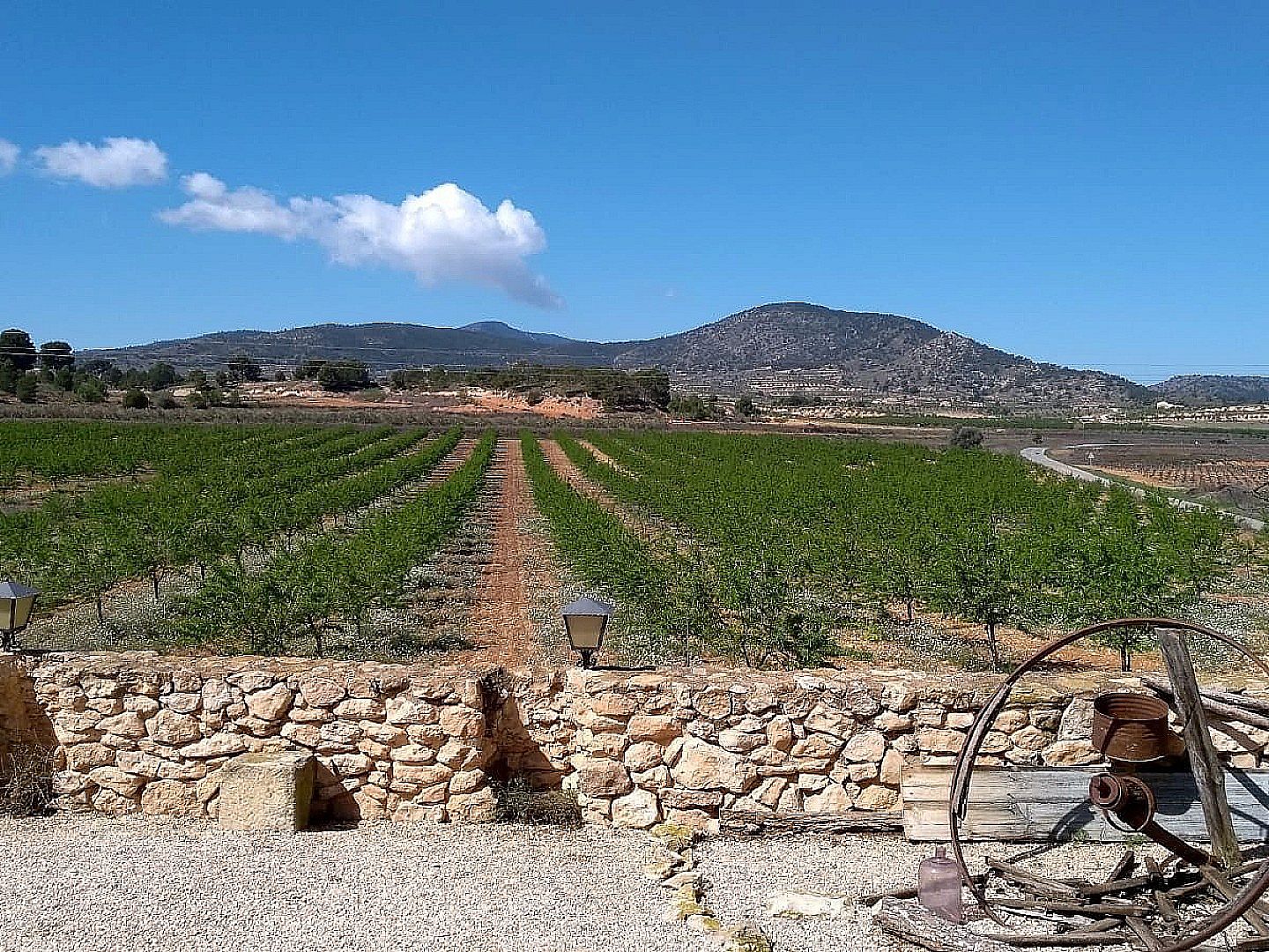 5 Bedroom 2 Bathroom Semi-detached in Pinoso
