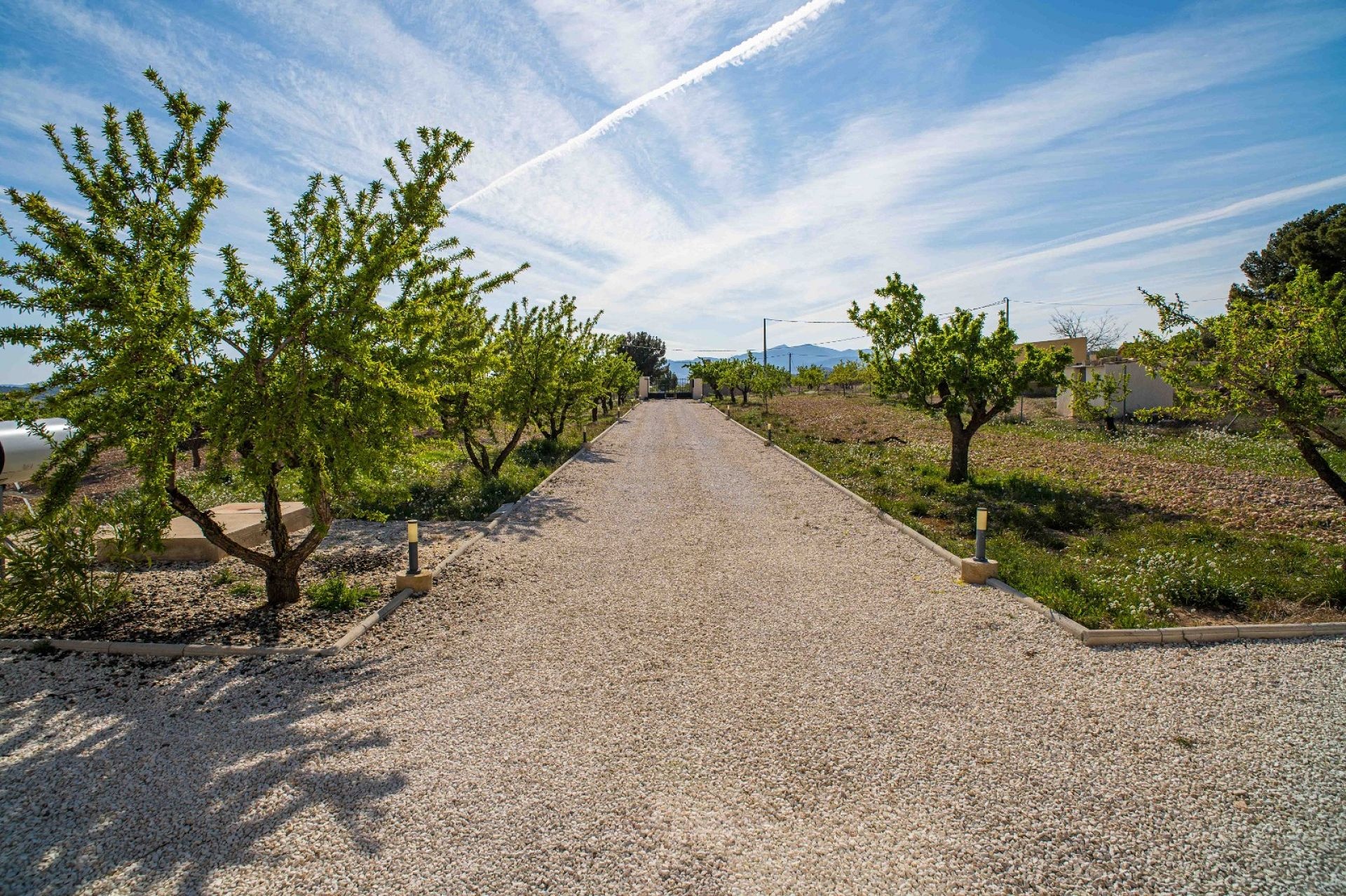 Resale - 3 Bedroom 2 Bathroom Villa in Pinoso -  - Alicante
