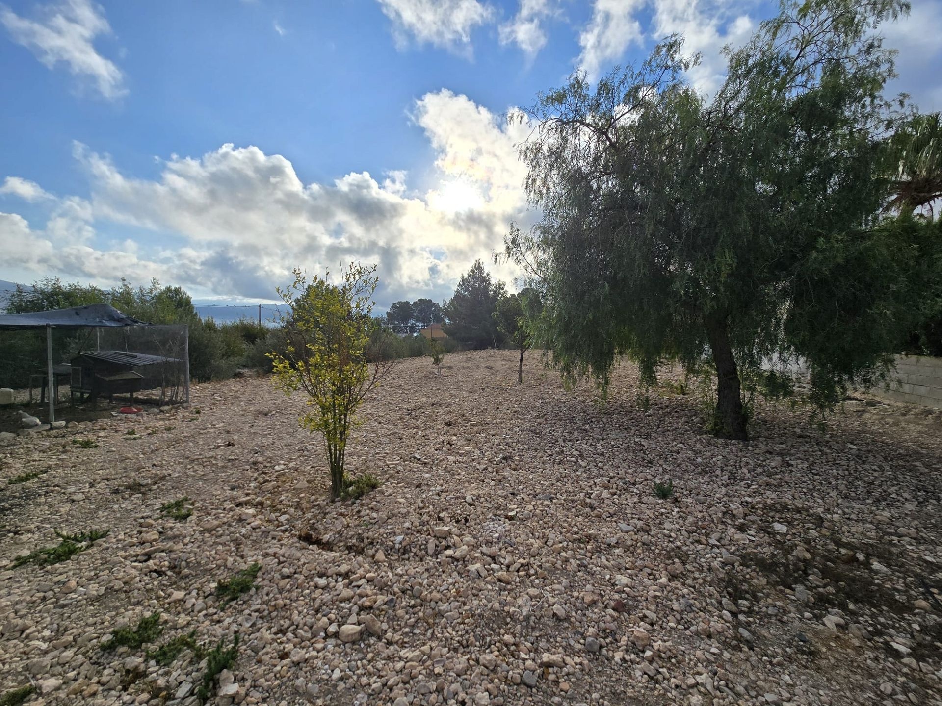Resale - 5 Bedroom 3 Bathroom Villa in Sax -  - Alicante