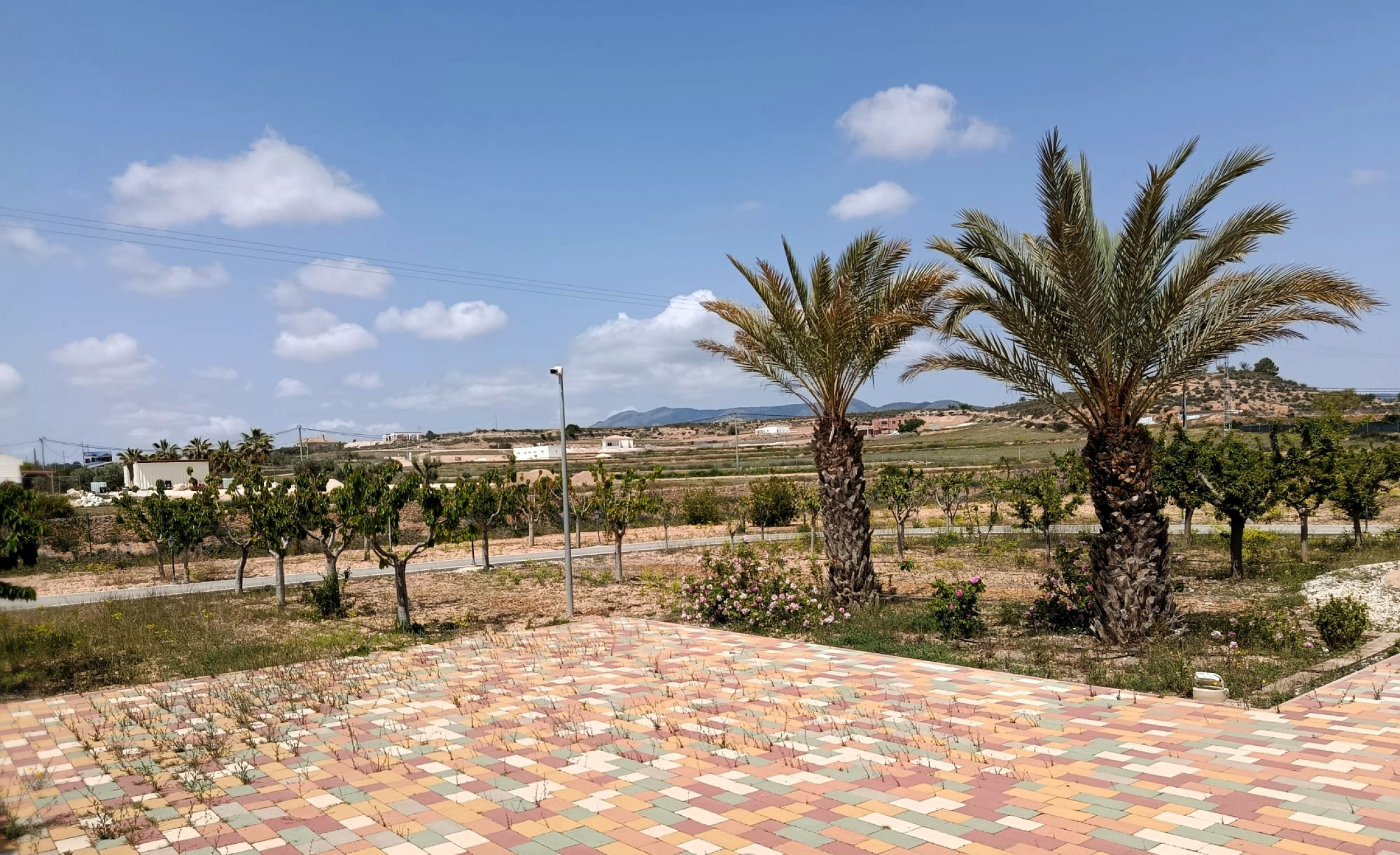 Resale - 4 Bedroom 4 Bathroom Villa in Pinoso -  - Alicante
