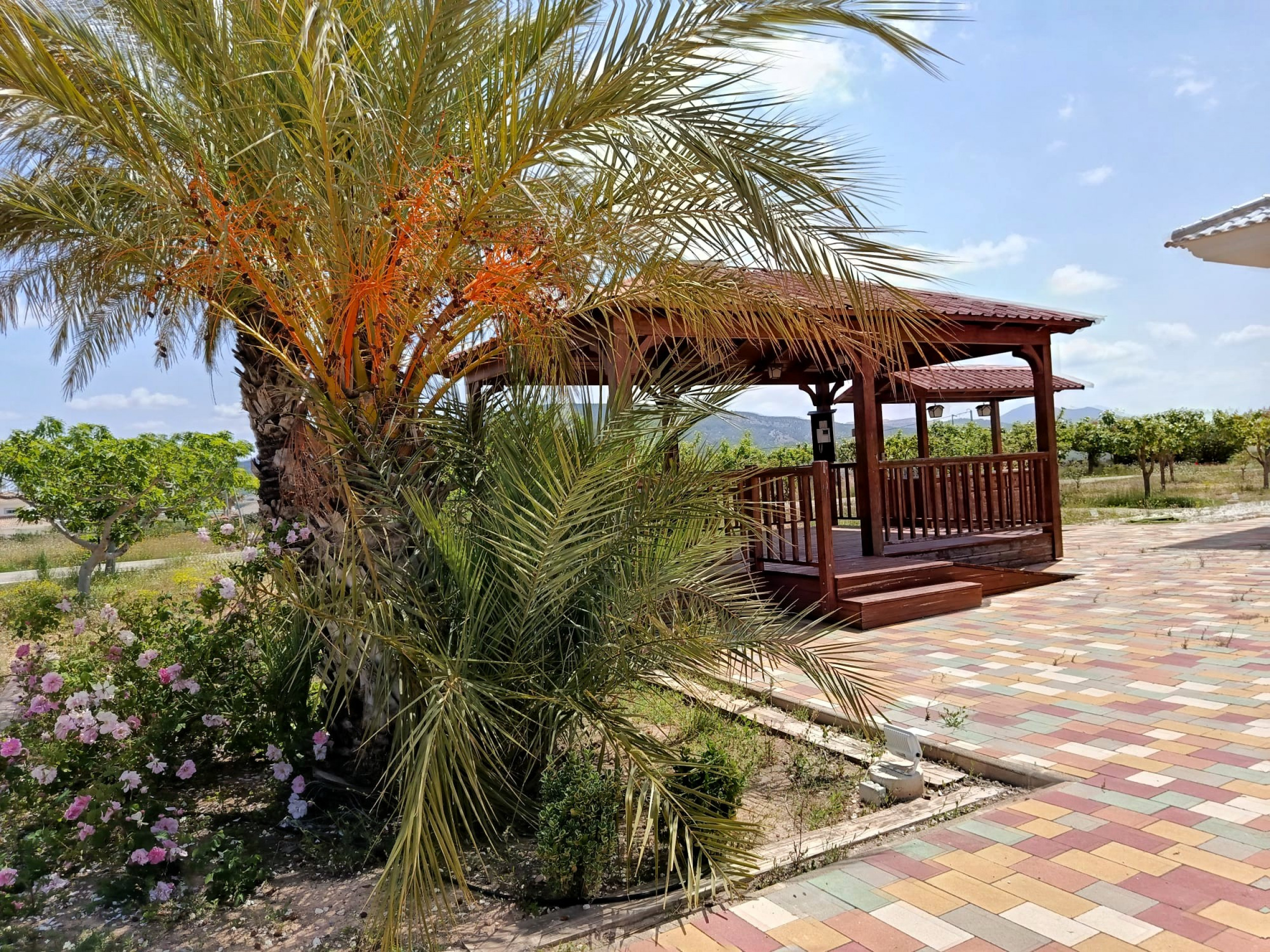 Resale - 4 Bedroom 4 Bathroom Villa in Pinoso -  - Alicante
