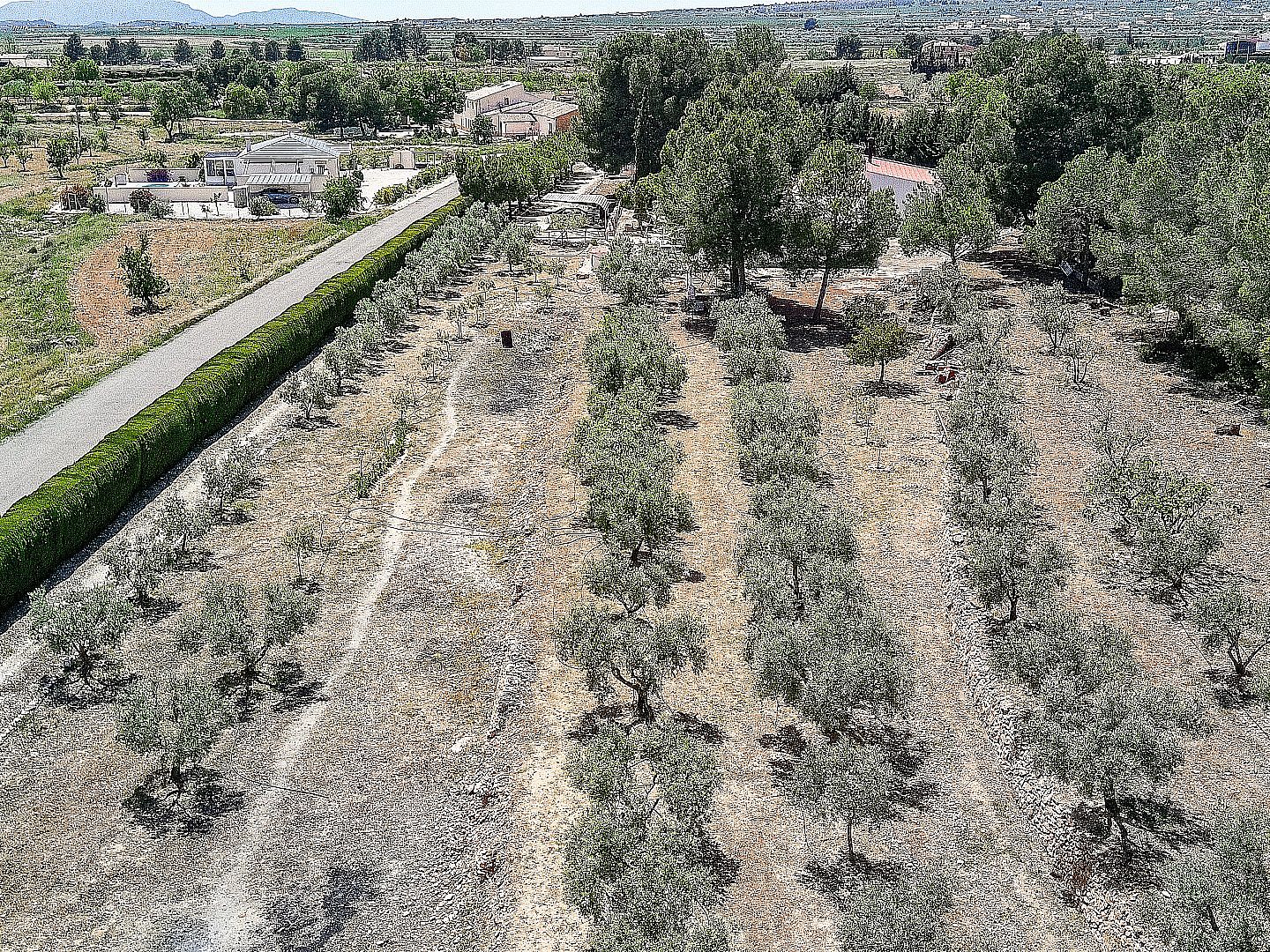 6 Bedroom 2 Bathroom Country house in Pinoso