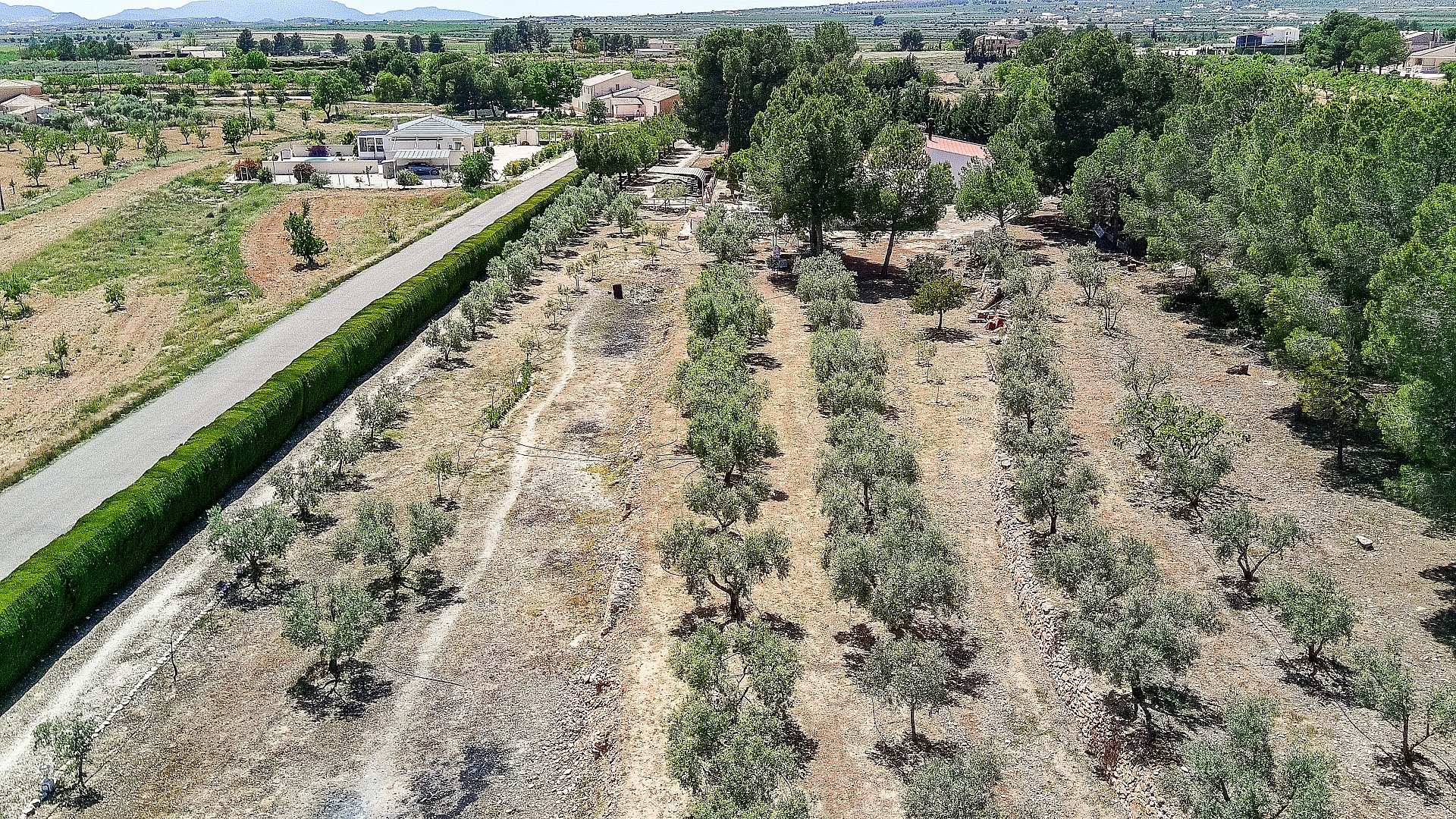 Resale - 6 Bedroom 2 Bathroom Country house in Pinoso -  - Alicante