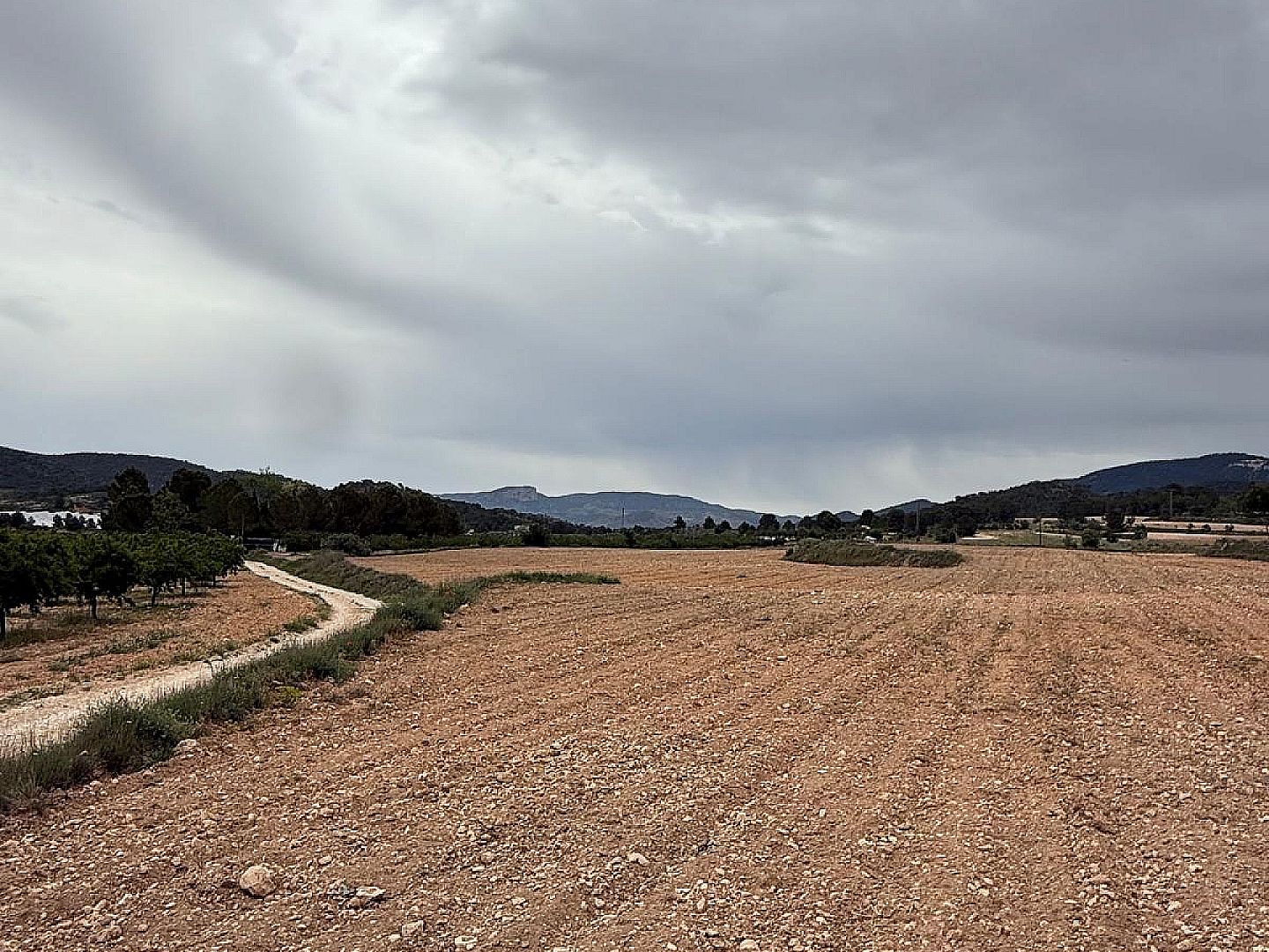 Land in Culebron