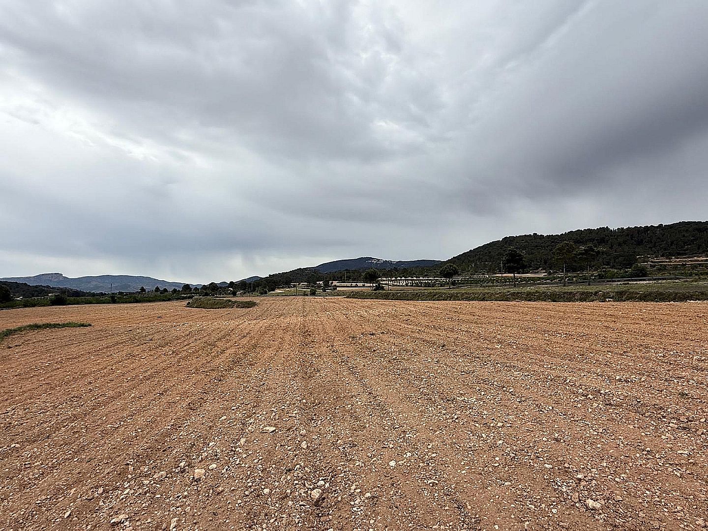 Land in Culebron