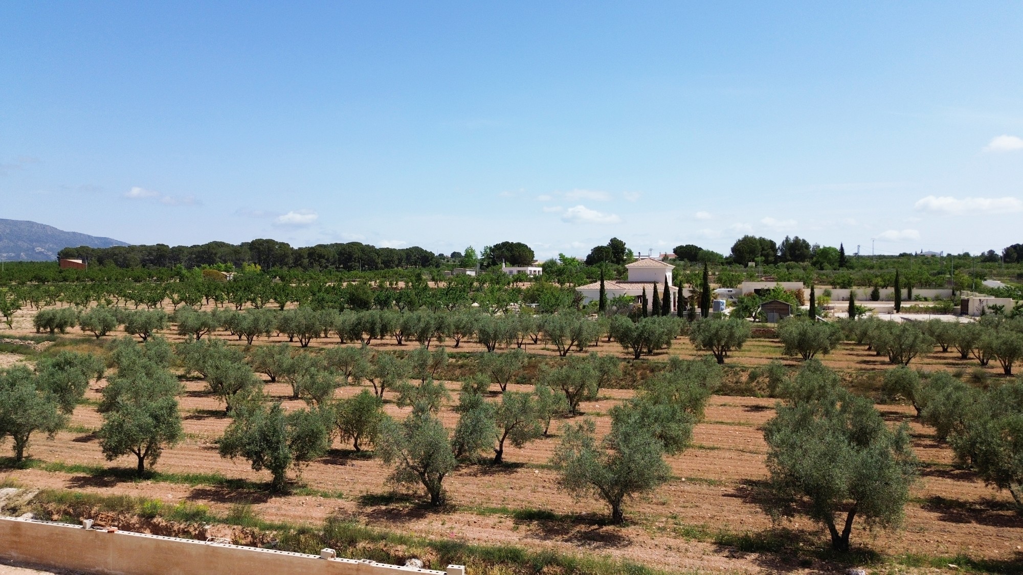 Resale - 4 Bedroom 2 Bathroom Villa in Pinoso -  - Alicante