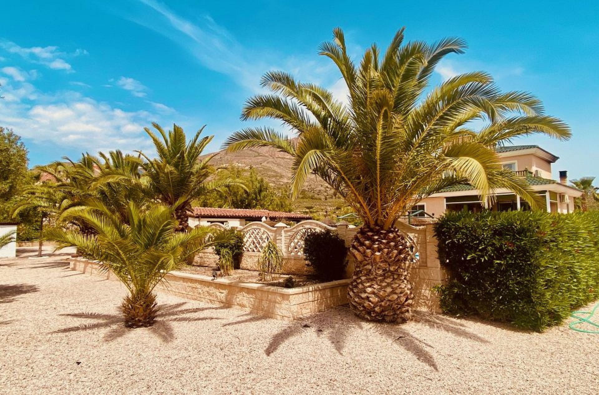 Resale - 4 Bedroom 3 Bathroom Villa in Macisvenda -  - Murcia
