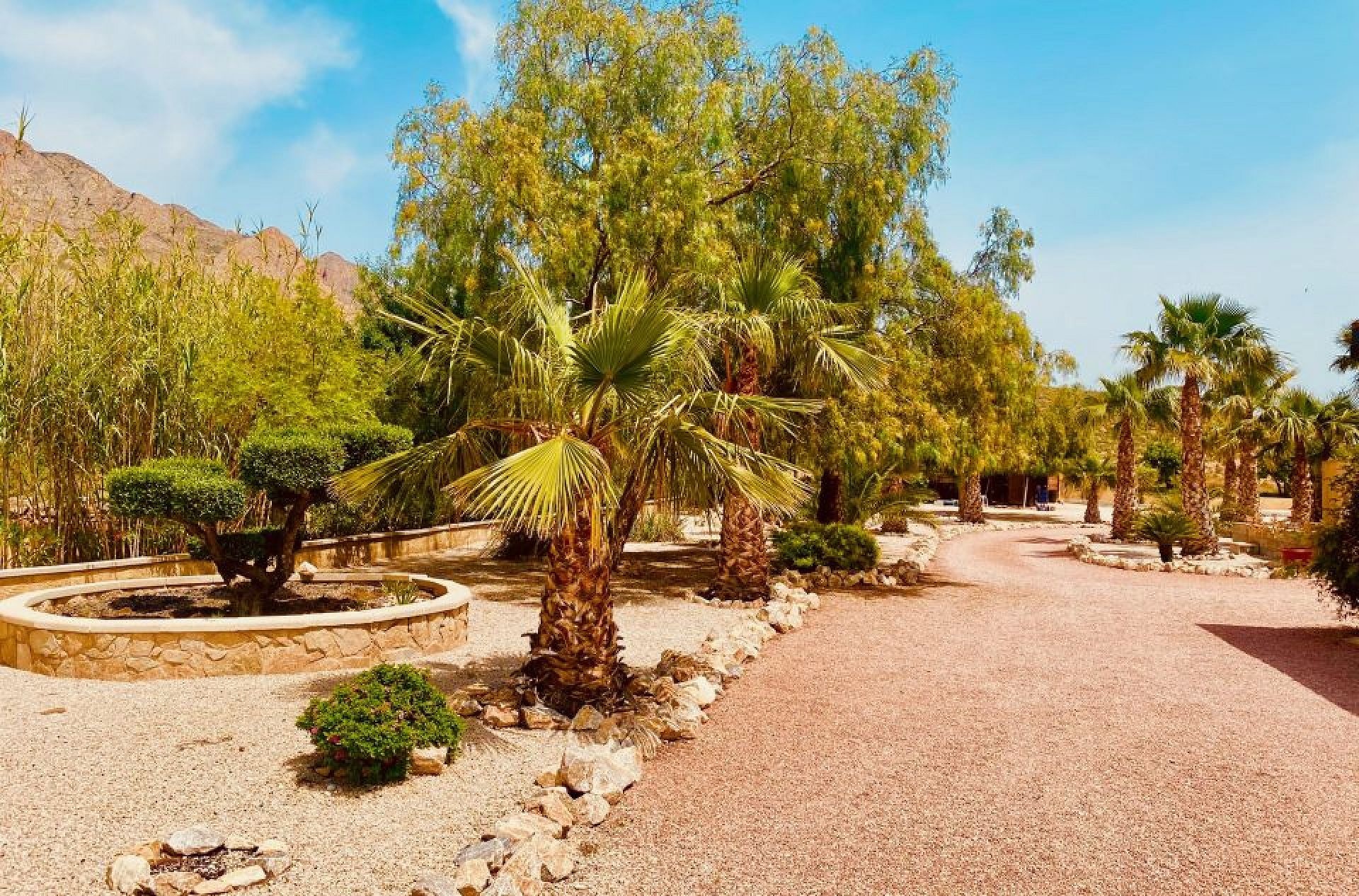 Resale - 4 Bedroom 3 Bathroom Villa in Macisvenda -  - Murcia