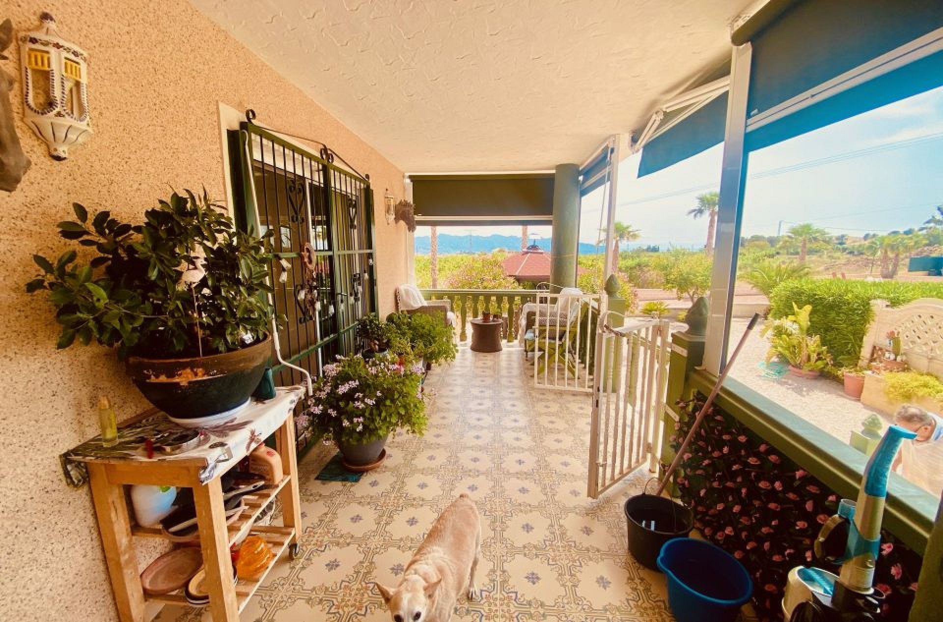 Resale - 4 Bedroom 3 Bathroom Villa in Macisvenda -  - Murcia