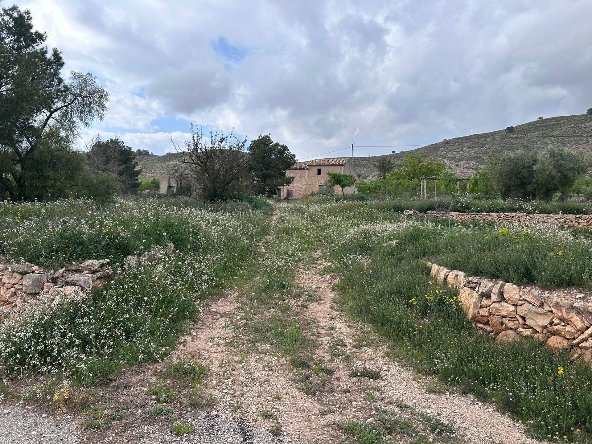 Resale - 5 Bedroom 2 Bathroom Restoration Project in Hondón de las Nieves -  - Alicante