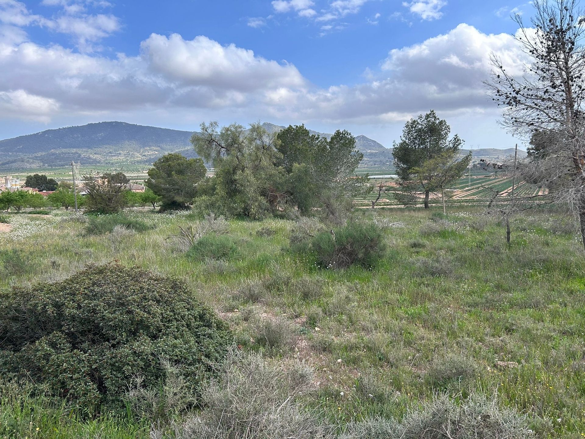 Resale - 5 Bedroom 2 Bathroom Restoration Project in Hondón de las Nieves -  - Alicante