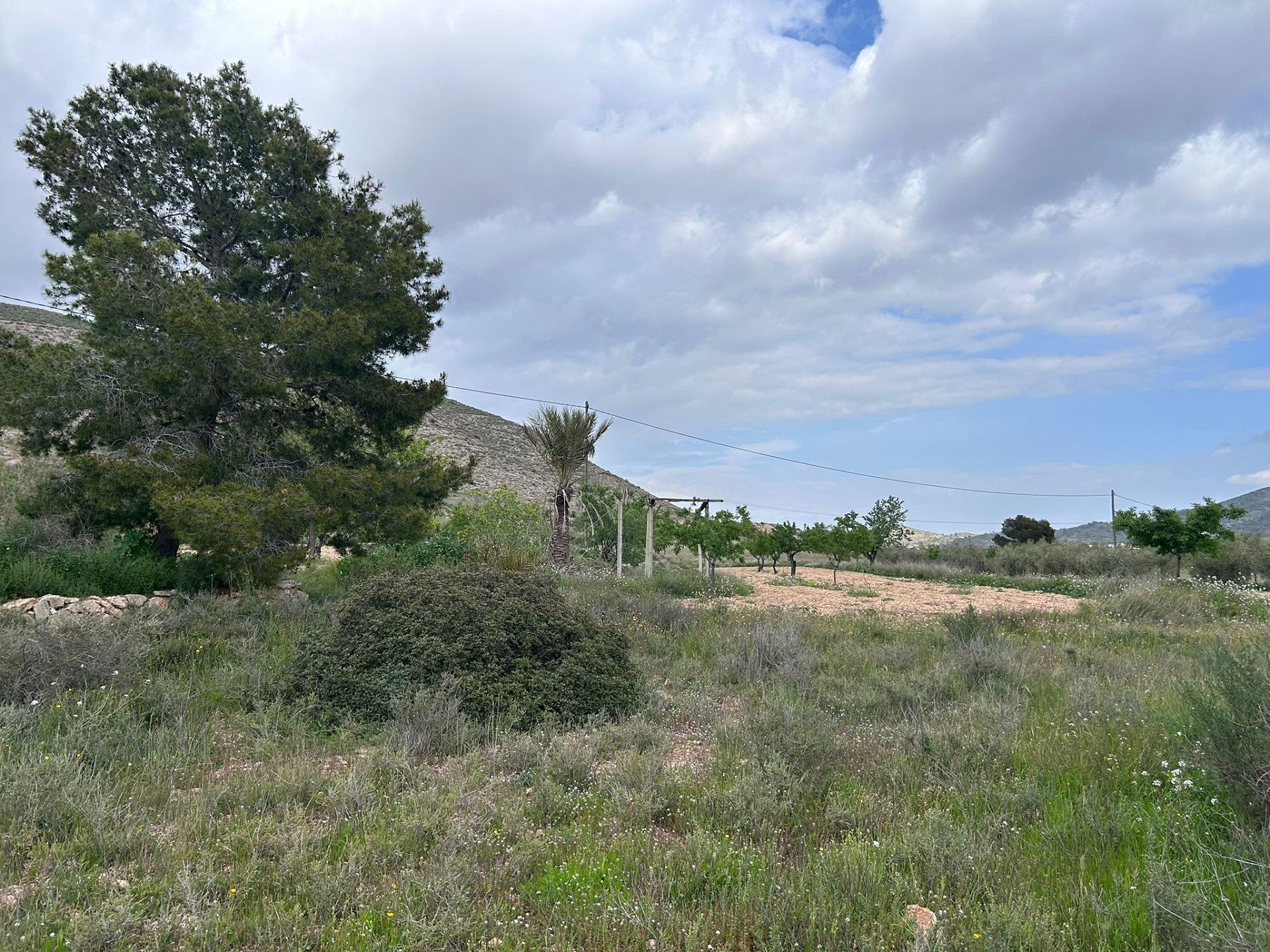 Resale - 5 Bedroom 2 Bathroom Restoration Project in Hondón de las Nieves -  - Alicante