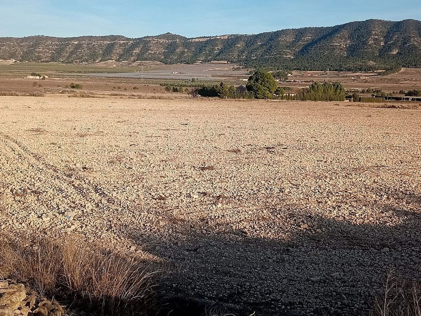 Land in Salinas