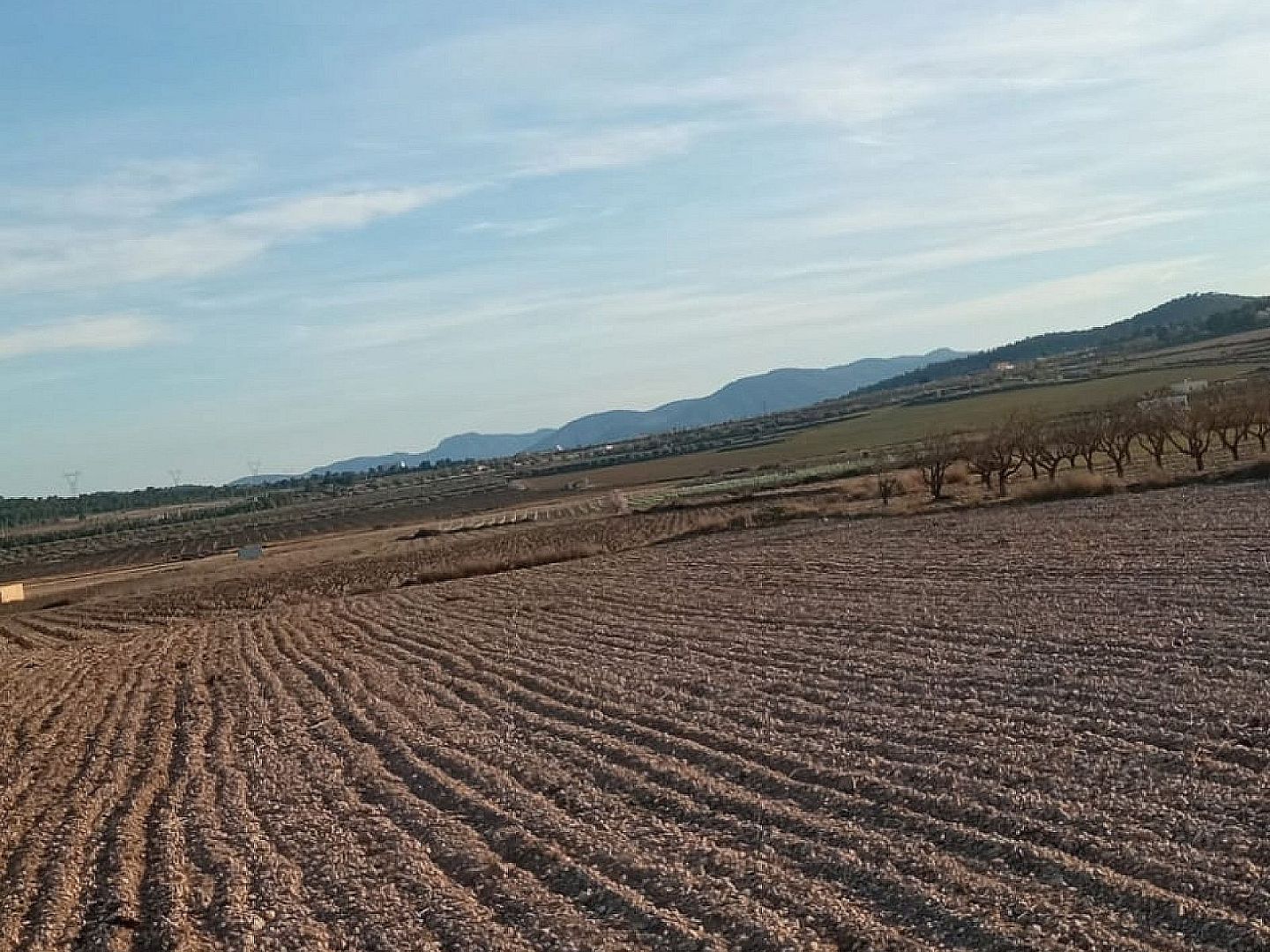 Land in Salinas