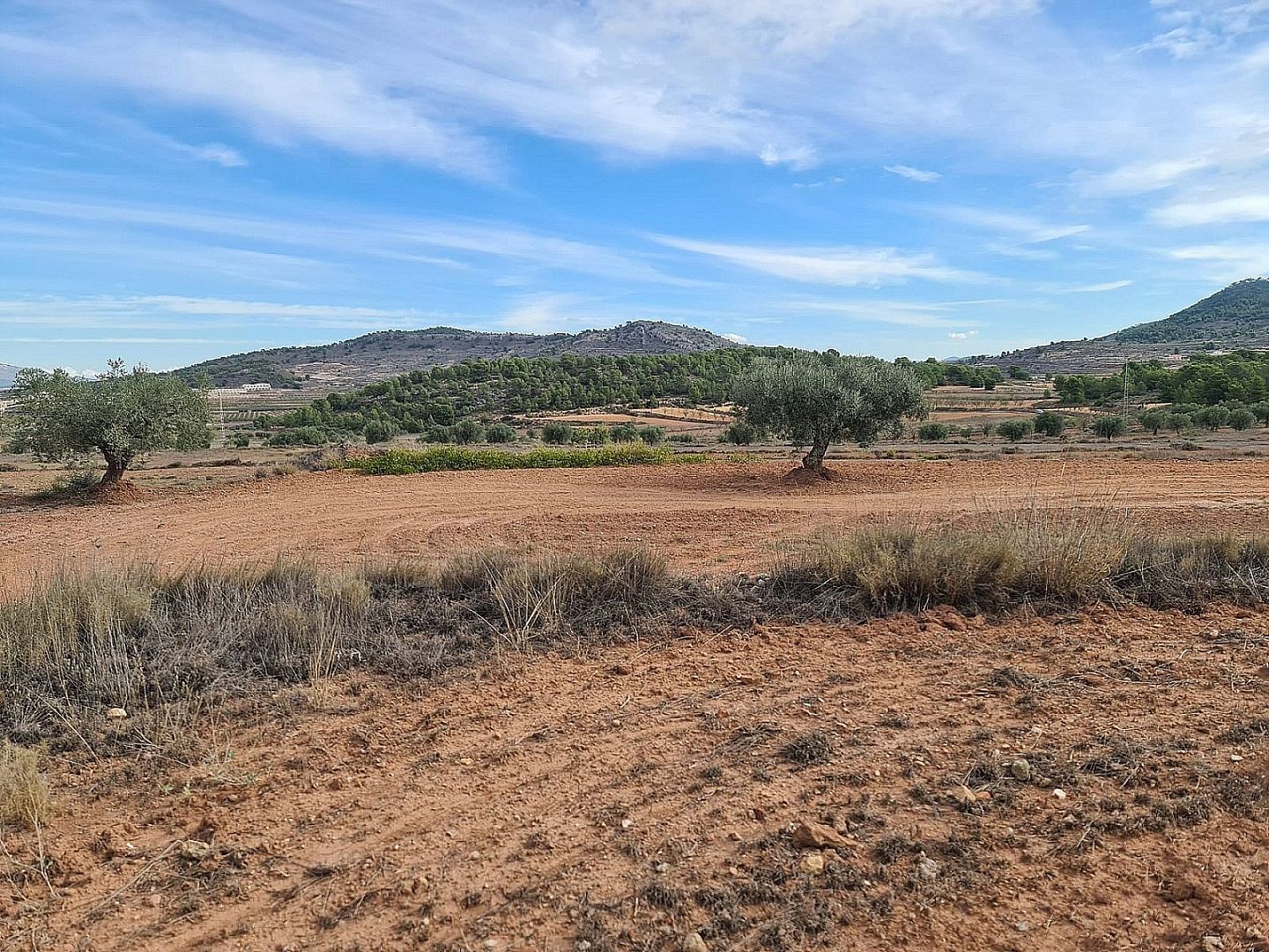 Land in Pinoso