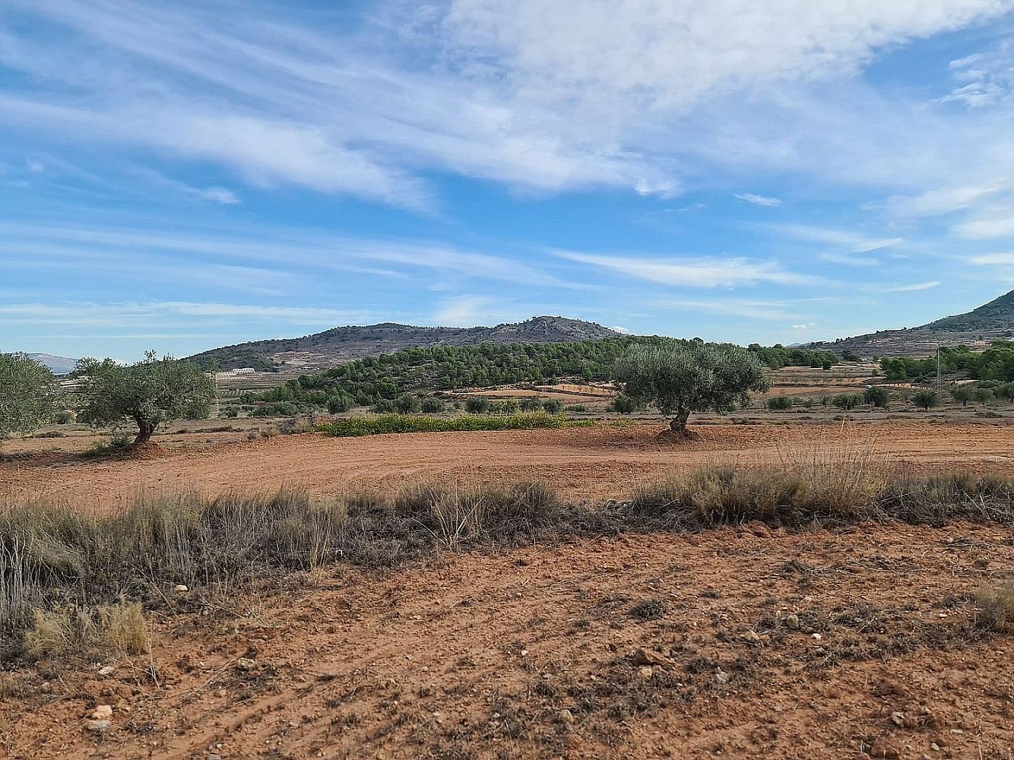 Land in Pinoso