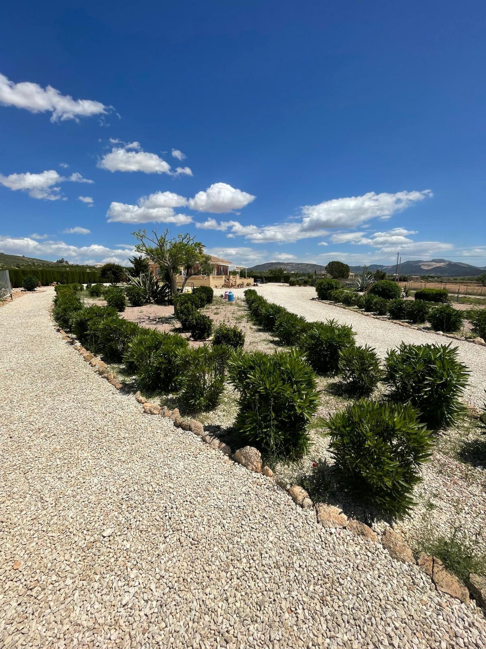 Sold - 4 Bedroom 3 Bathroom Villa in Pinoso -  - Alicante