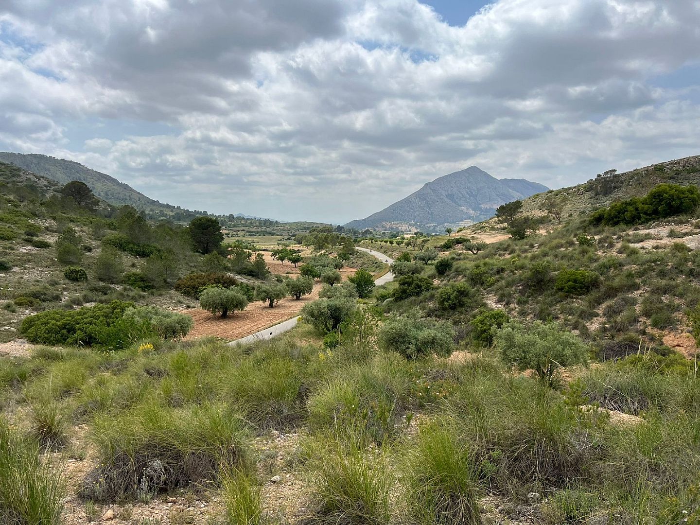 Land in Hondón de las Nieves