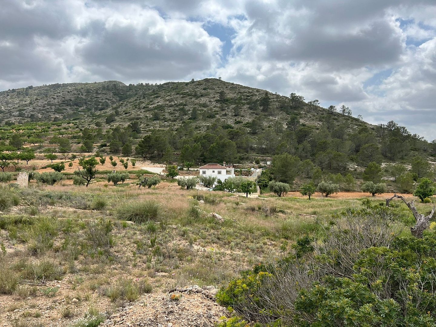 Land in Hondón de las Nieves