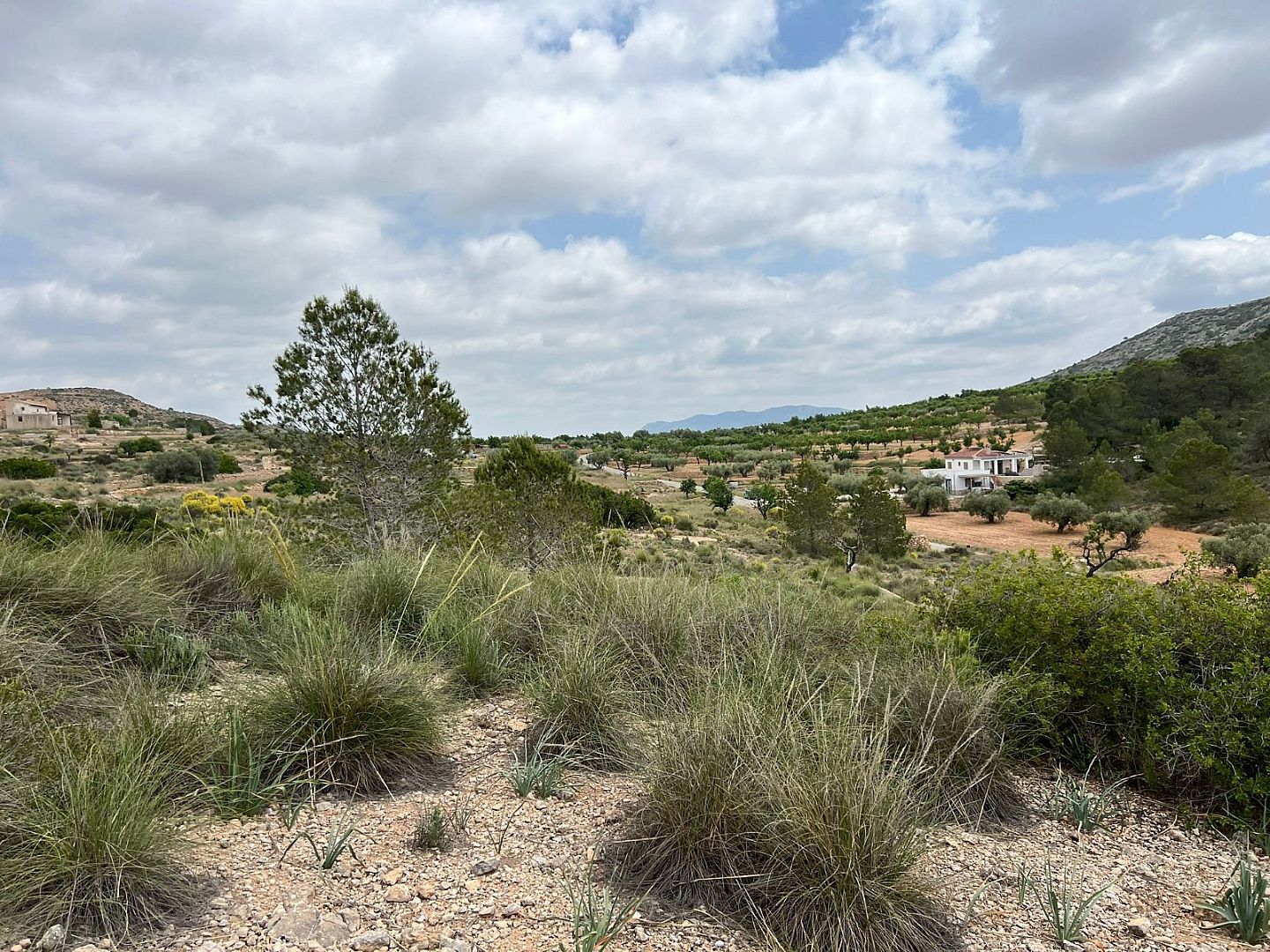 Land in Hondón de las Nieves