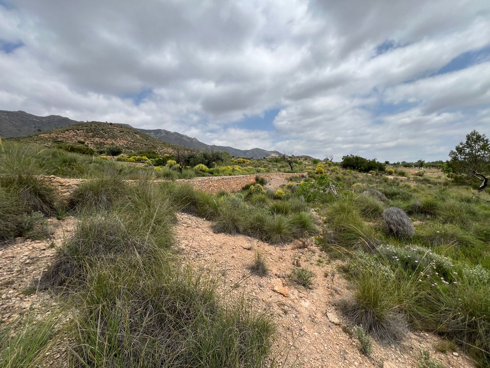 Resale - Land in Hondón de las Nieves -  - Alicante