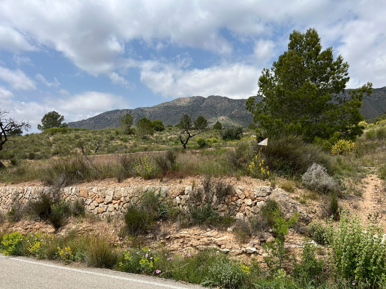 Resale - Land in Hondón de las Nieves -  - Alicante
