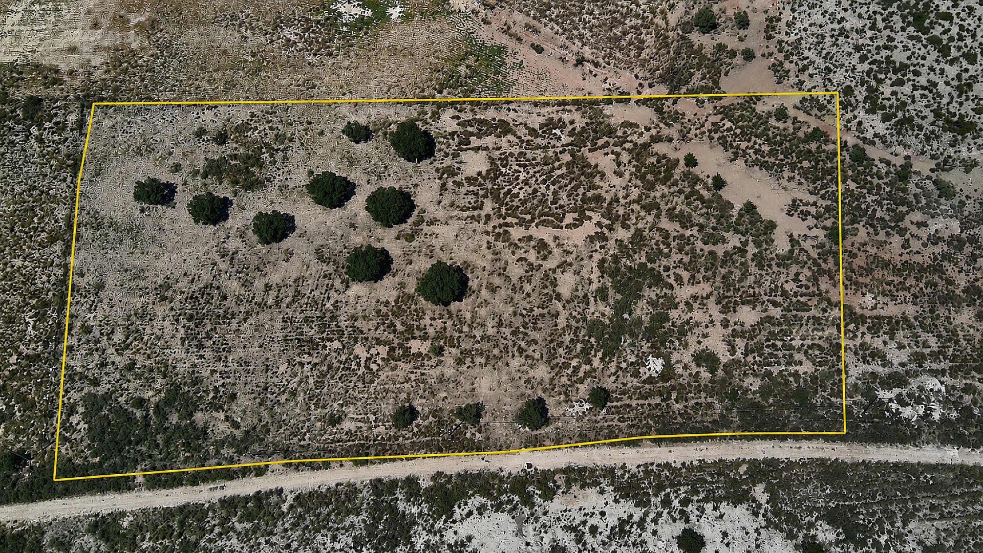 Resale - Land in Salinas -  - Alicante