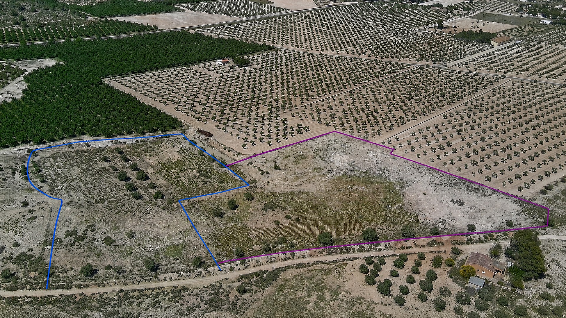 Resale - Land in Salinas -  - Alicante