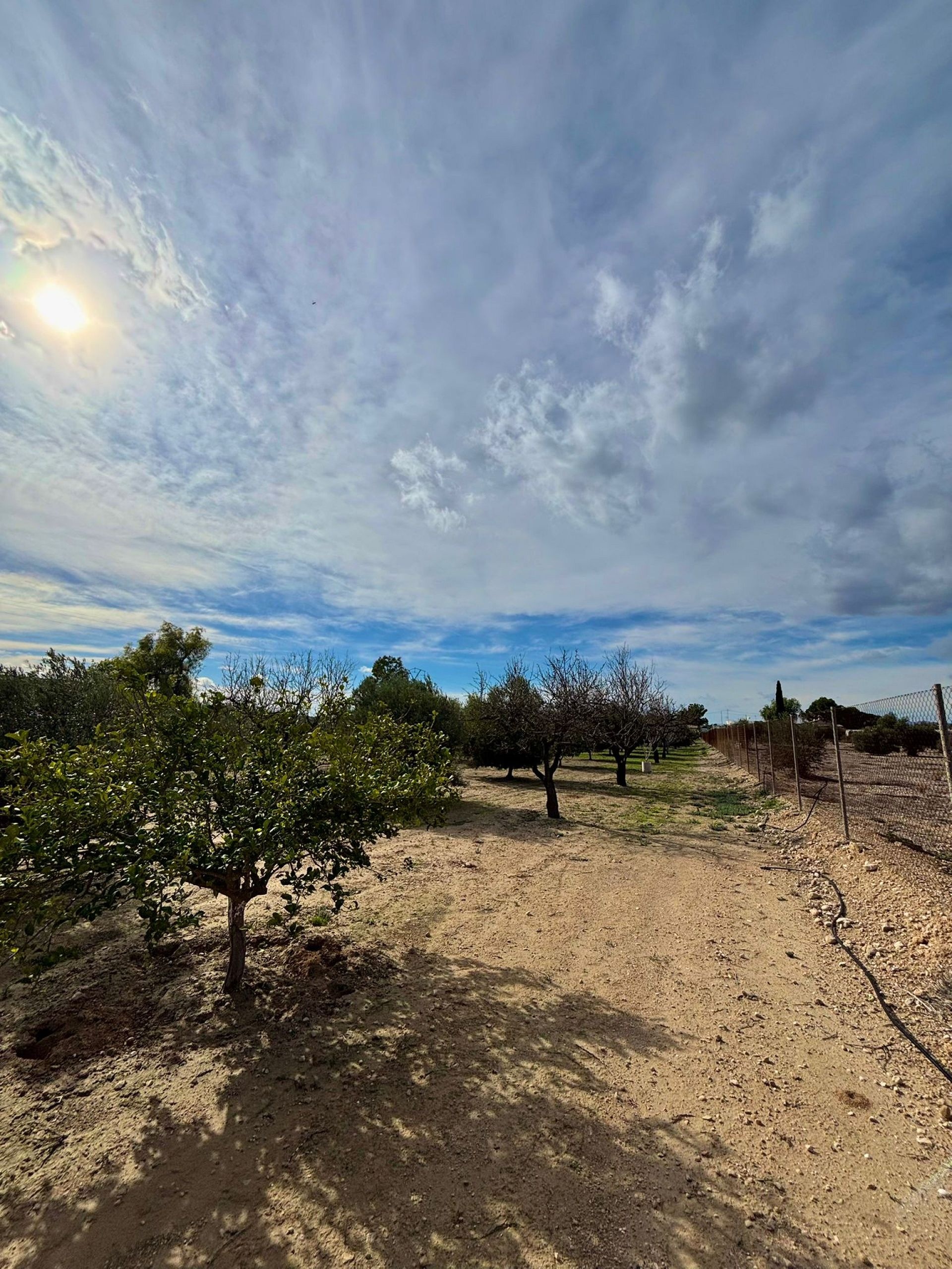 Resale - 1 Bedroom 1 Bathroom Wooden House in Fortuna -  - Murcia