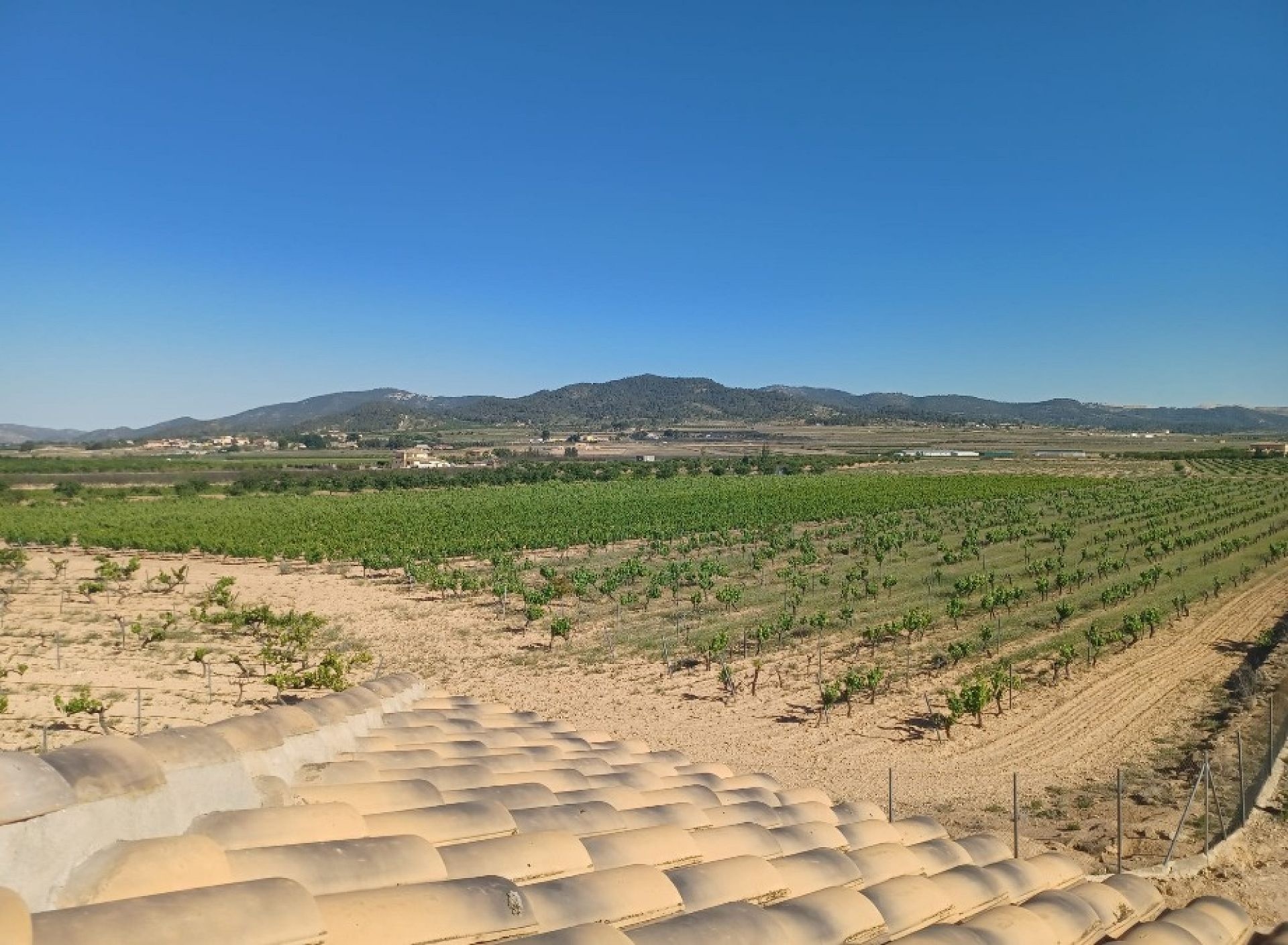 Resale - 5 Bedroom 3 Bathroom Country house in Pinoso -  - Alicante