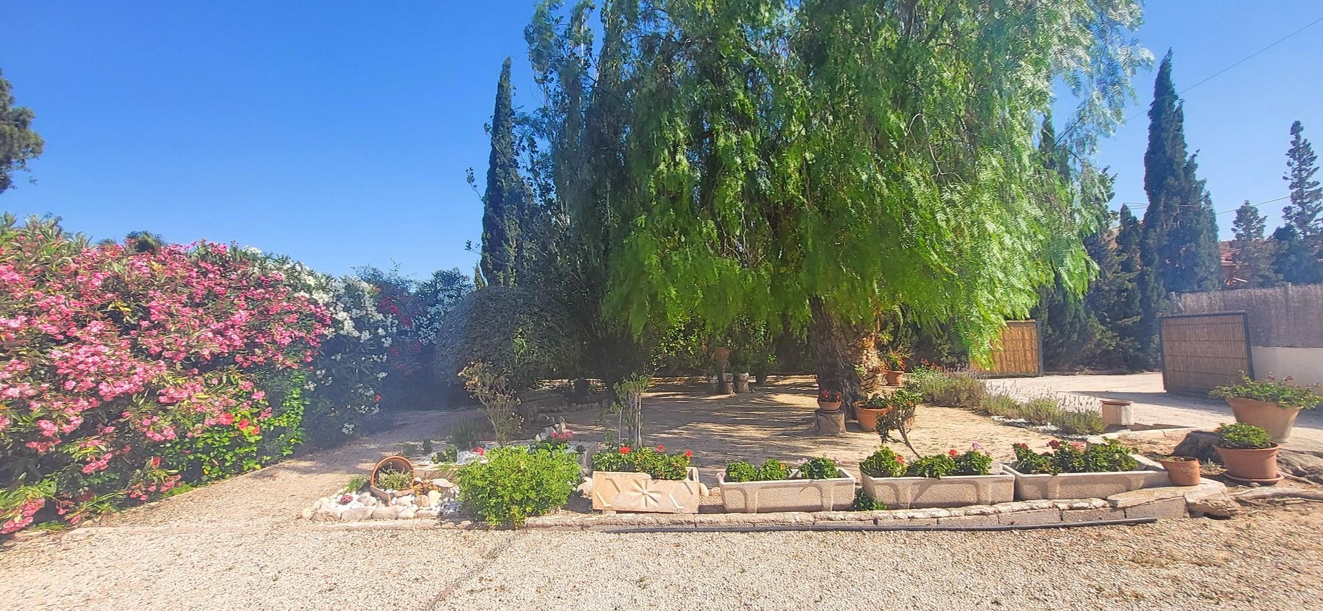 Resale - 4 Bedroom 1 Bathroom Villa in Novelda -  - Alicante