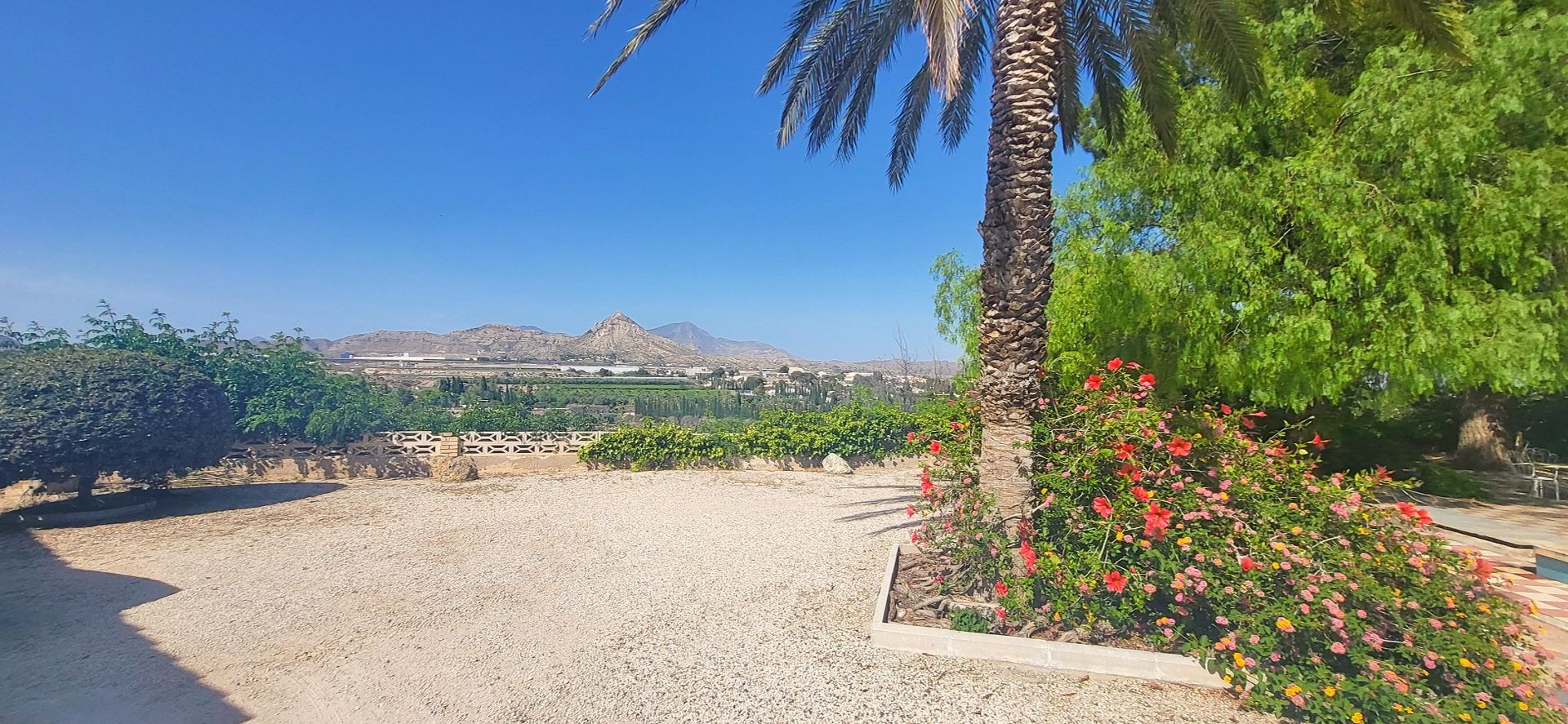 Resale - 4 Bedroom 1 Bathroom Villa in Novelda -  - Alicante