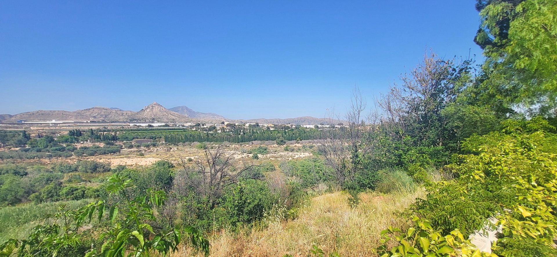 Resale - 4 Bedroom 1 Bathroom Villa in Novelda -  - Alicante