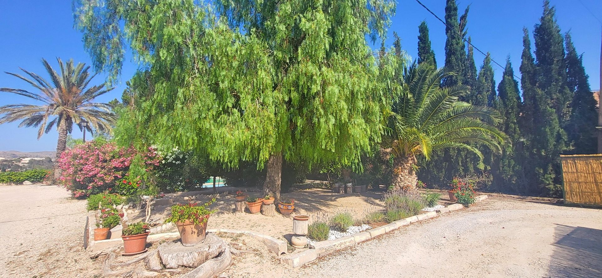Resale - 4 Bedroom 1 Bathroom Villa in Novelda -  - Alicante