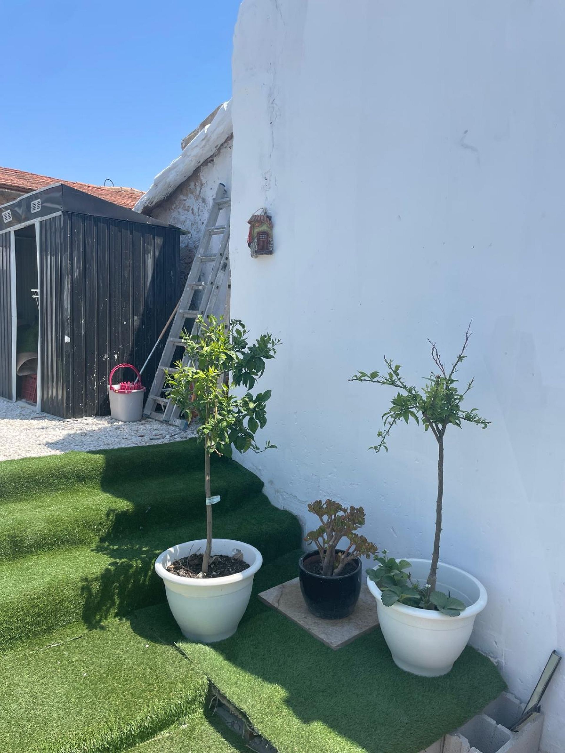 Resale - 2 Bedroom 2 Bathroom Village house in Cañada del Trigo -  - Murcia