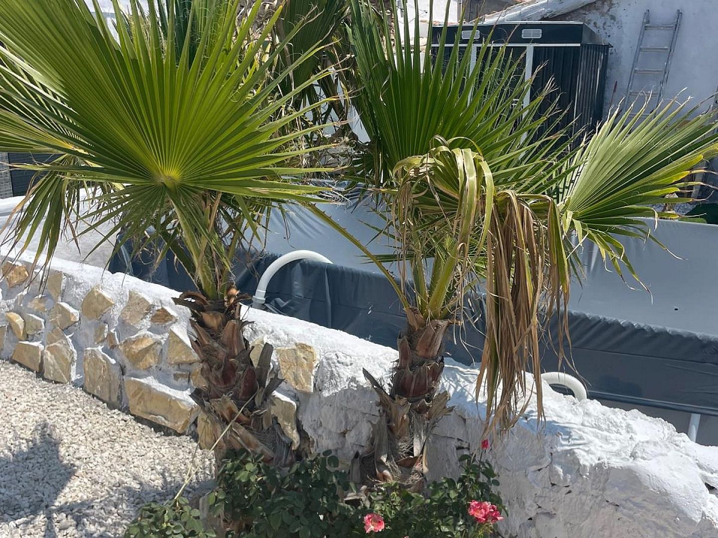 2 Bedroom 2 Bathroom Village house in Cañada del Trigo