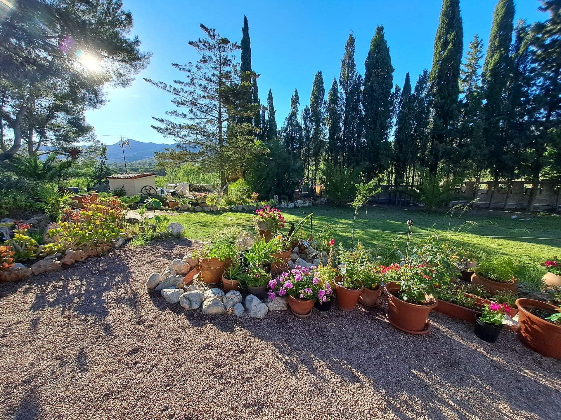 Resale - 6 Bedroom 4 Bathroom Country house in Sax -  - Alicante