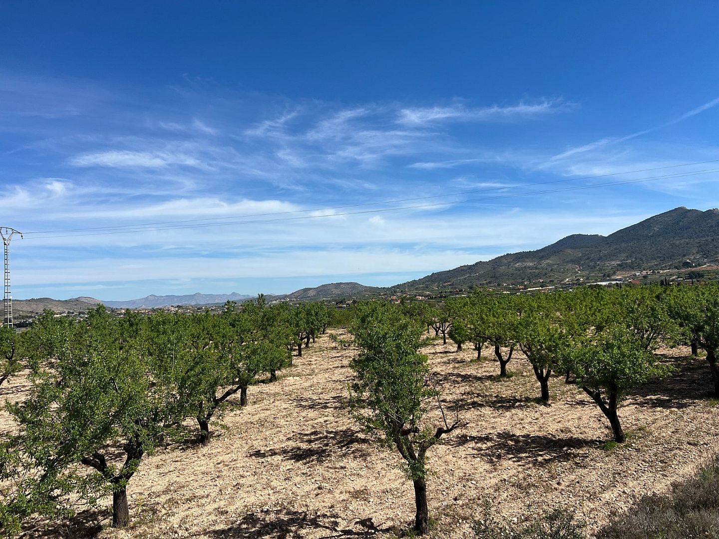 Land in Hondón de los Frailes