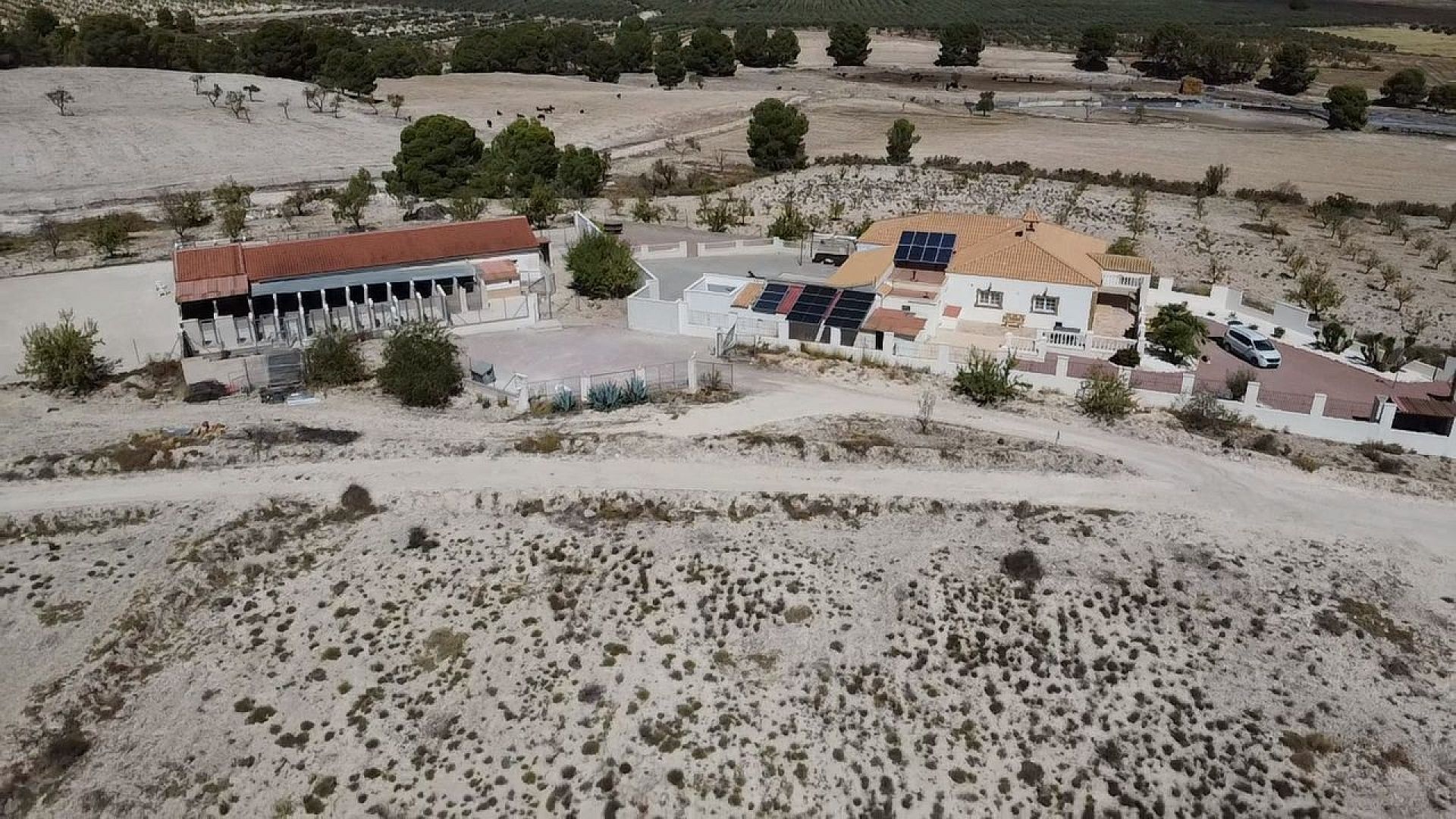 Resale - 4 Bedroom 4 Bathroom Commercial in Salinas -  - Alicante