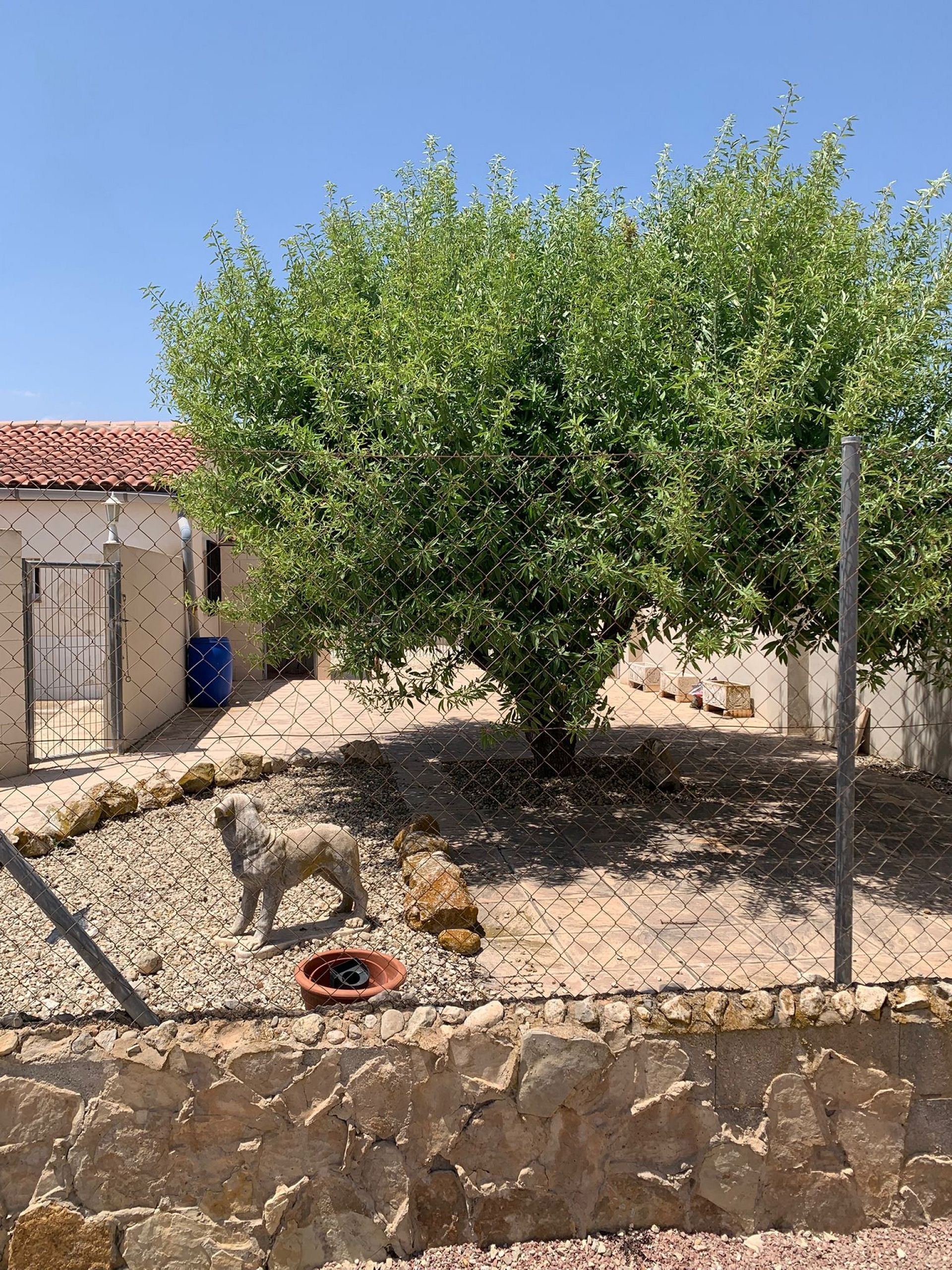 Resale - 4 Bedroom 4 Bathroom Commercial in Salinas -  - Alicante
