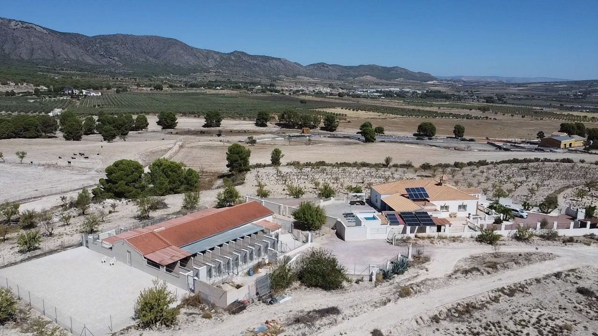 Resale - 4 Bedroom 4 Bathroom Commercial in Salinas -  - Alicante